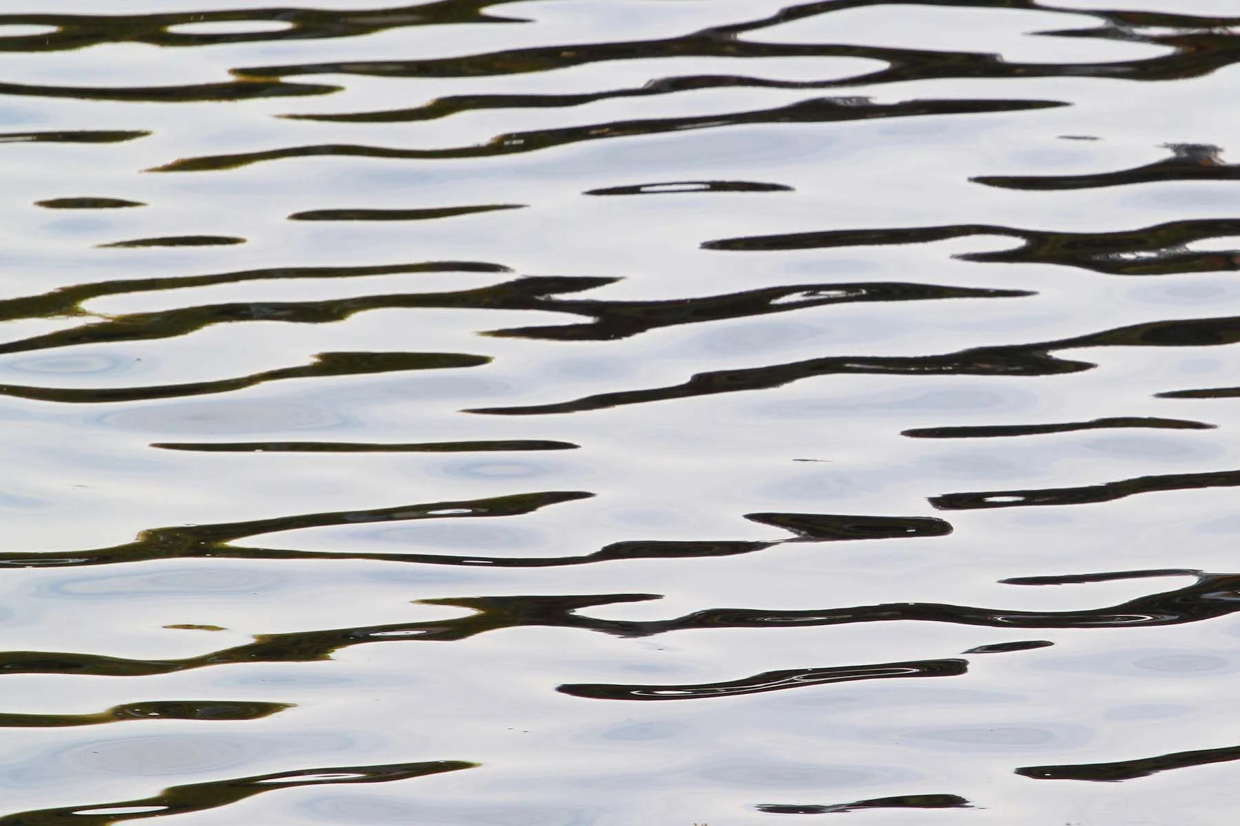Water #21 (Copy)