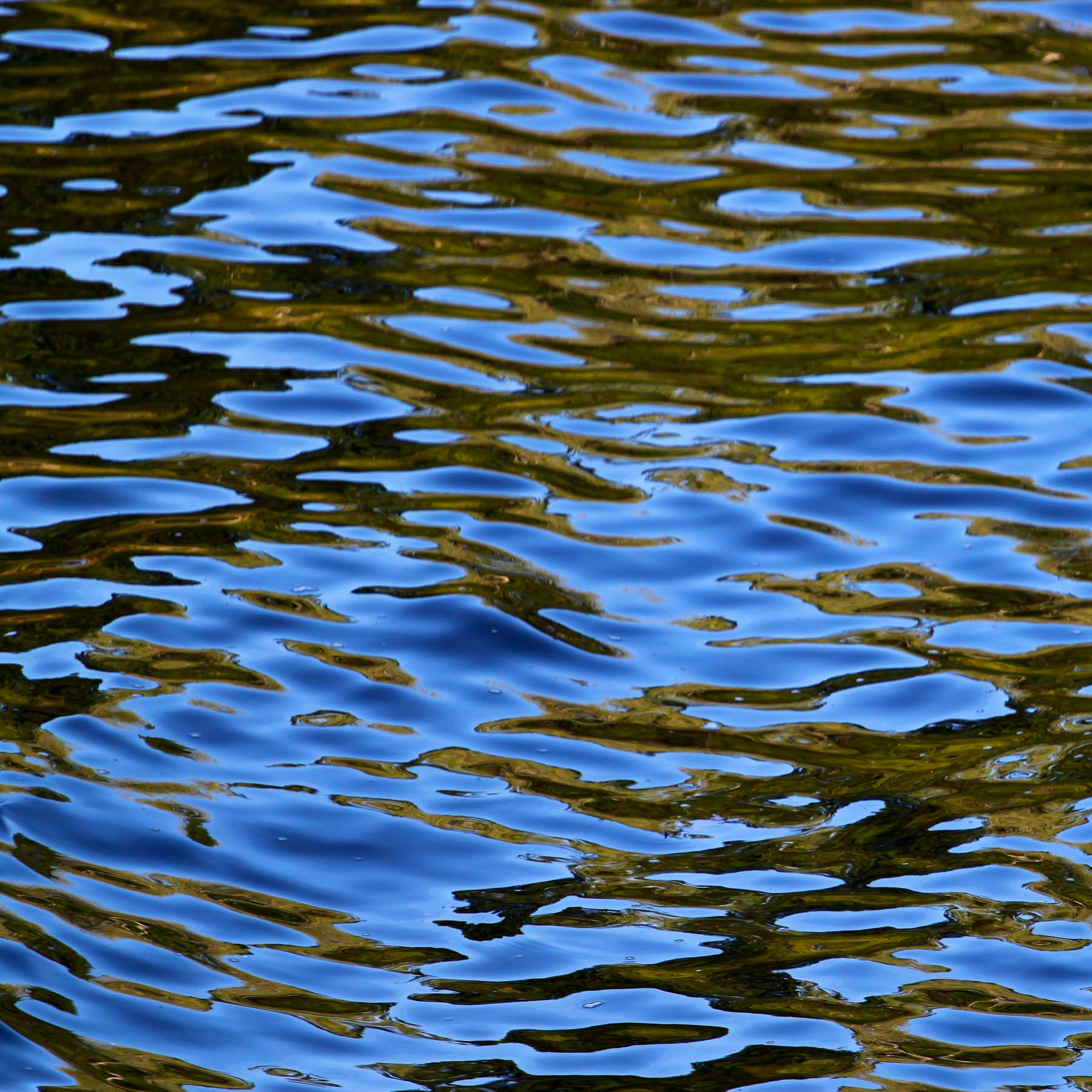 Water #2 (Copy)