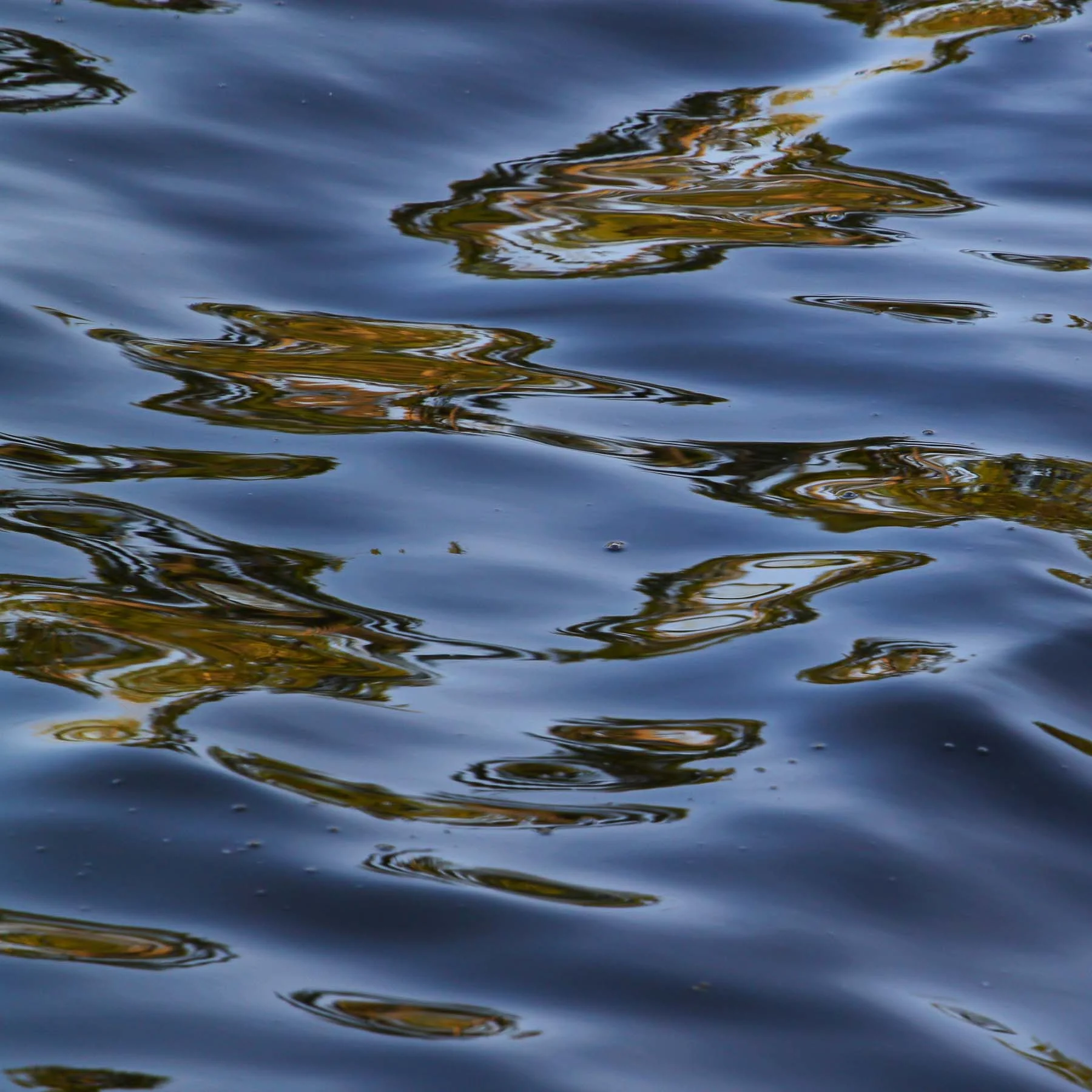Water #4 (Copy)