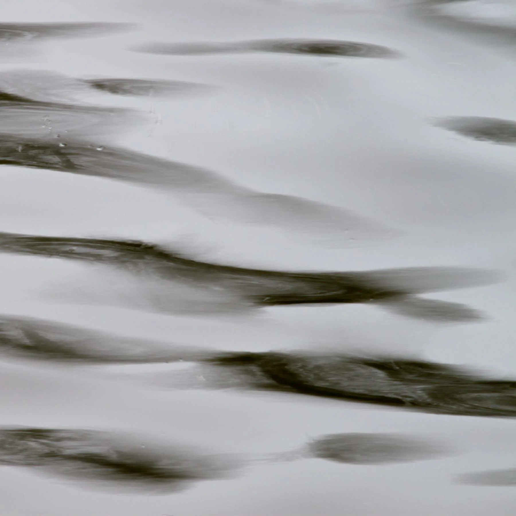 Monochrome #6 (Copy)