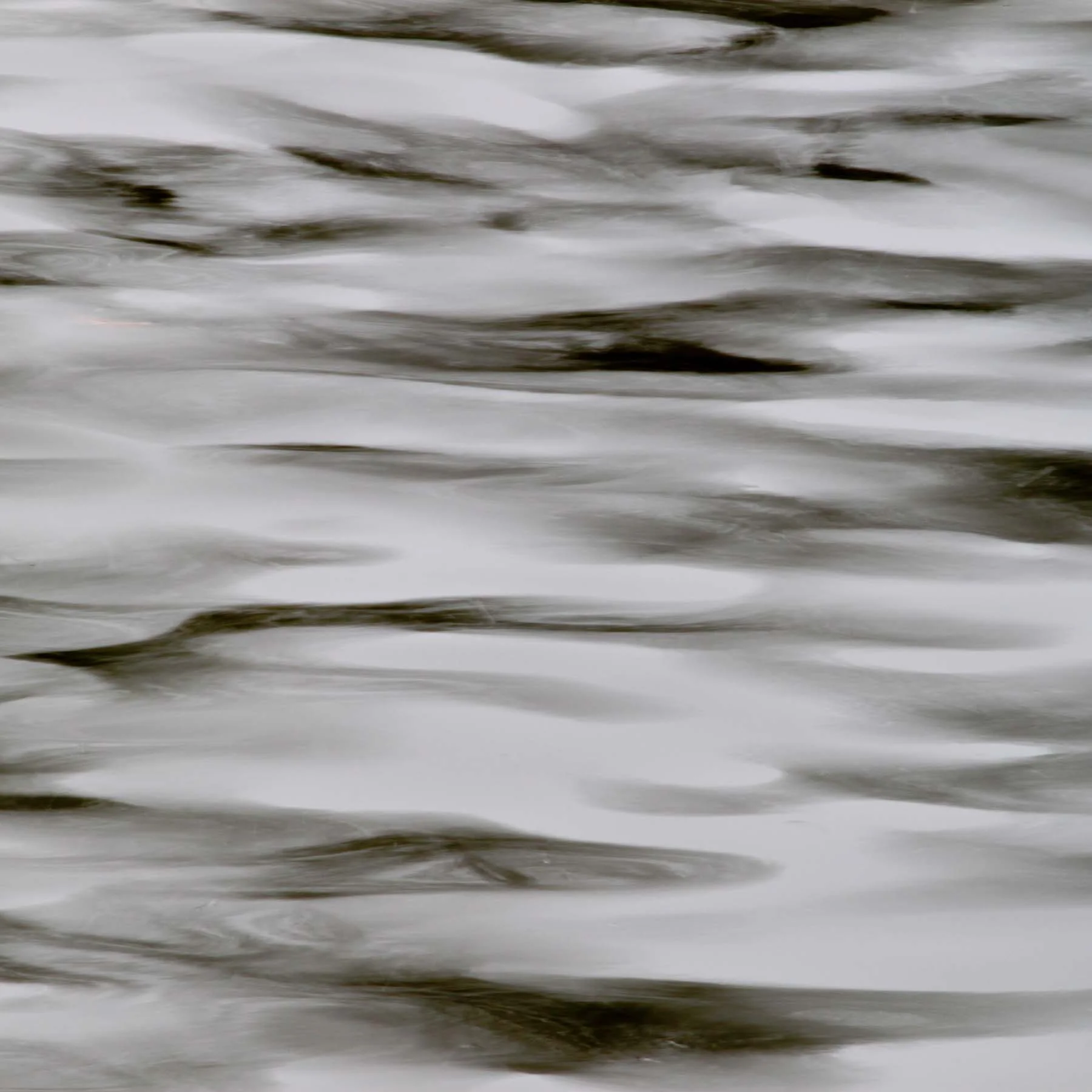 Monochrome #4 (Copy)