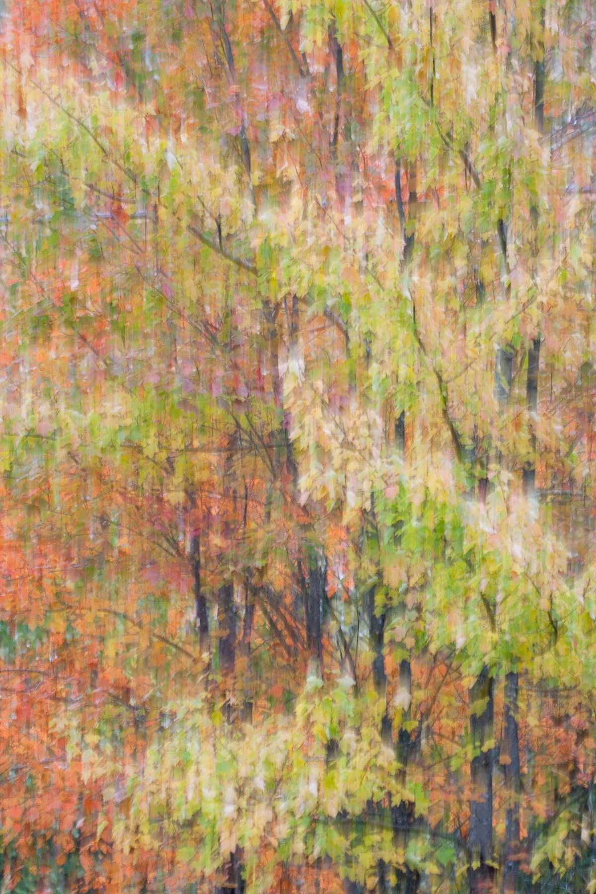 Route 1, #6 (Copy)