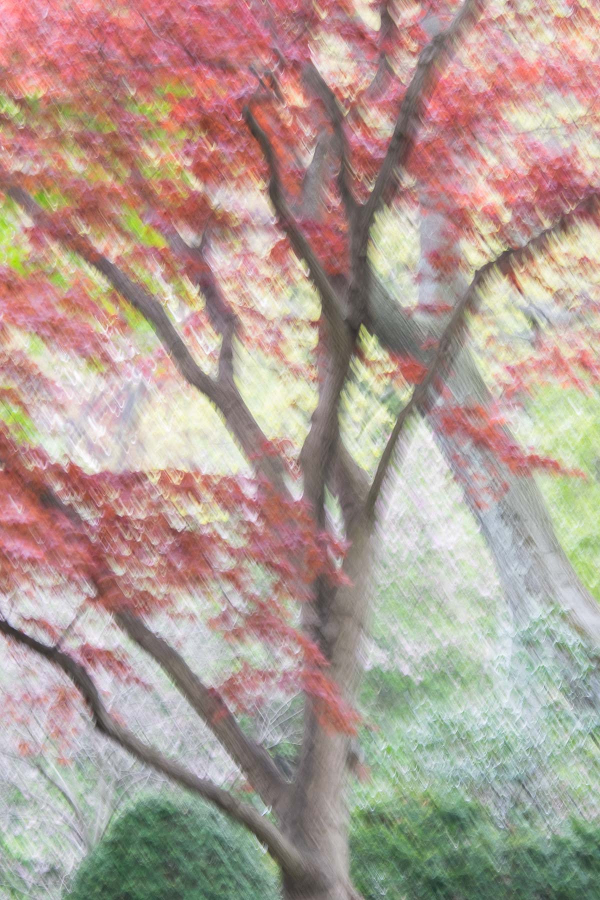Yudelman_Fuji_140510__DSF0650.jpg