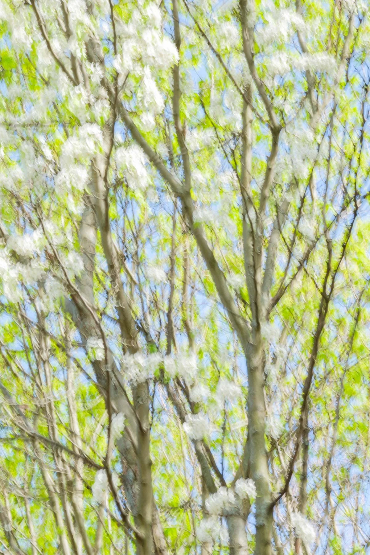 Yudelman_Fuji_140507__DSF0366.jpg