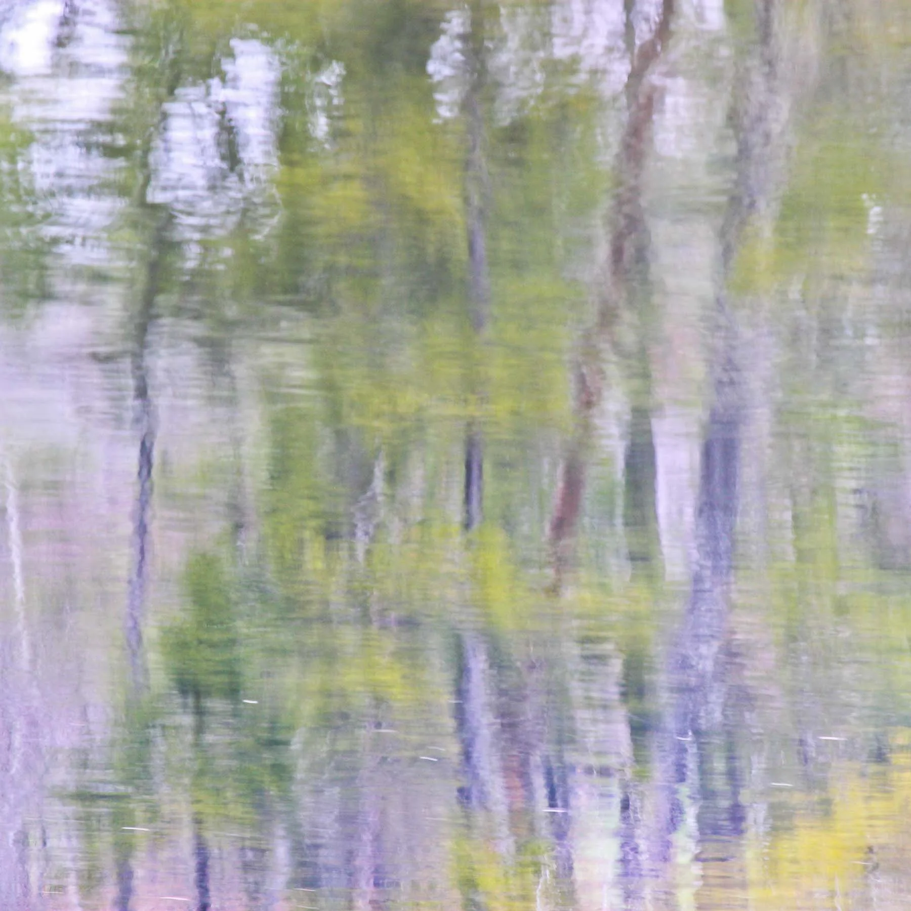 Pastel #1 (Copy)