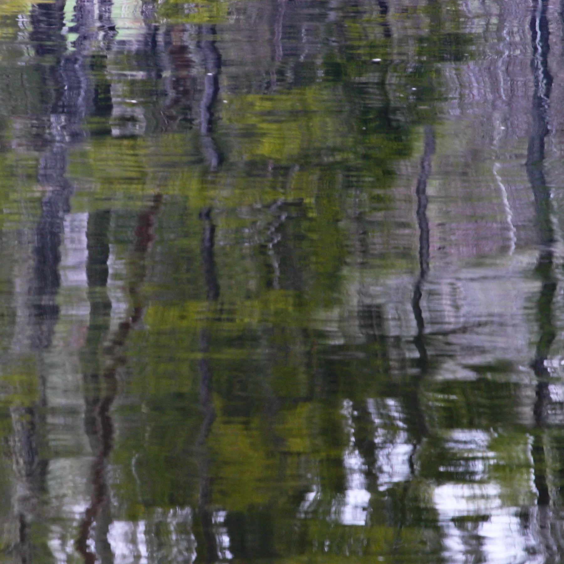 Pastel #8 (Copy)