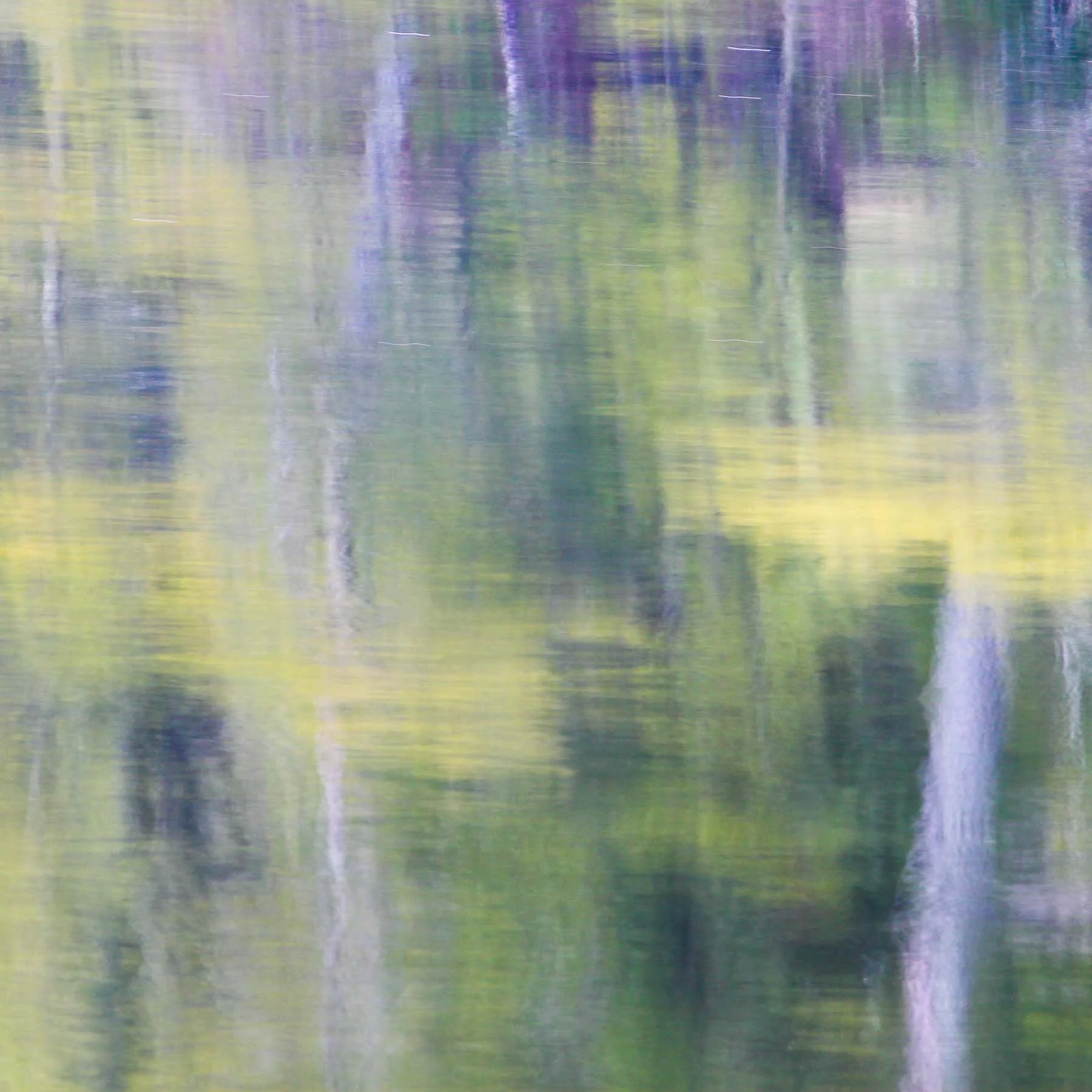 Pastel #4 (Copy)
