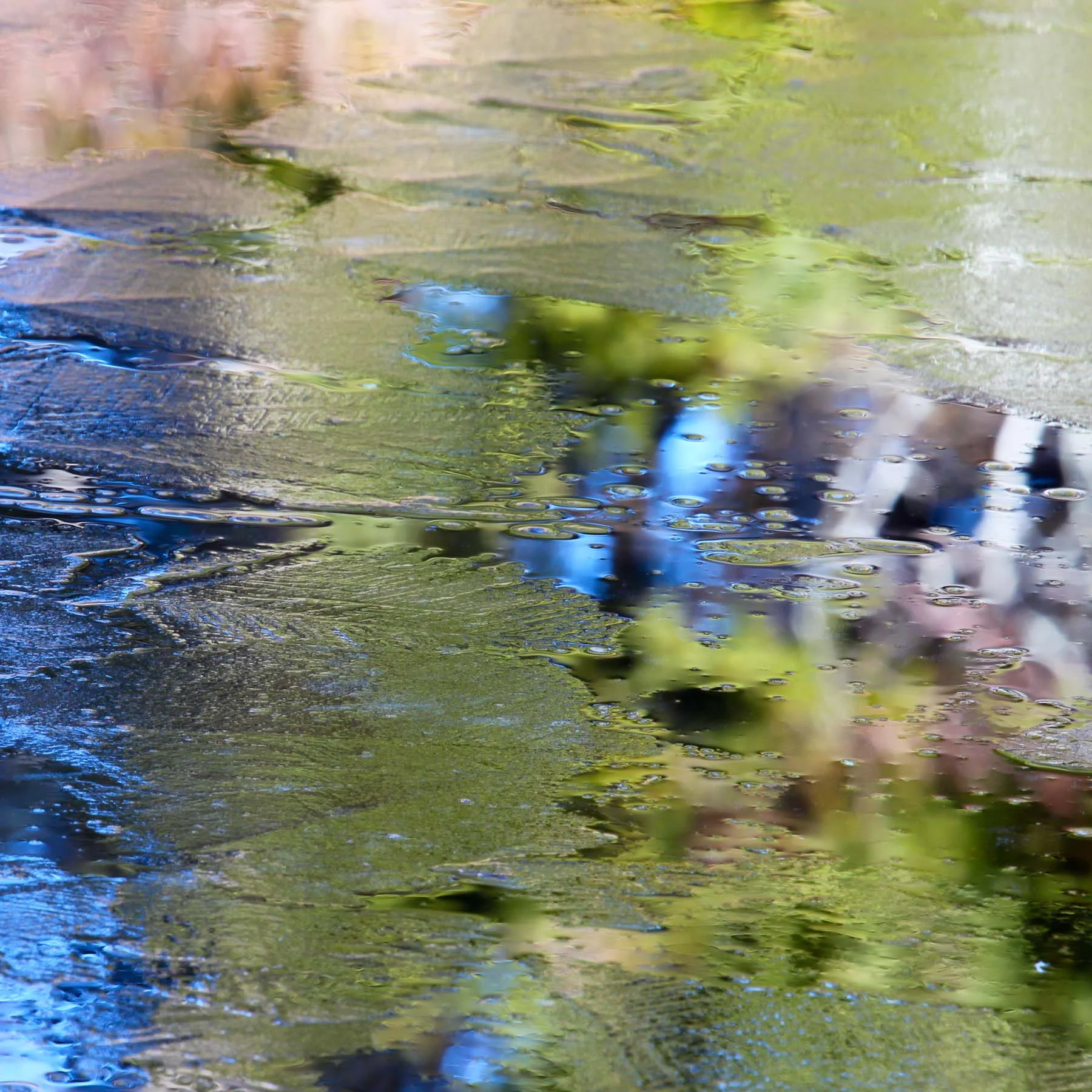 Autumn Ice #1 (Copy)