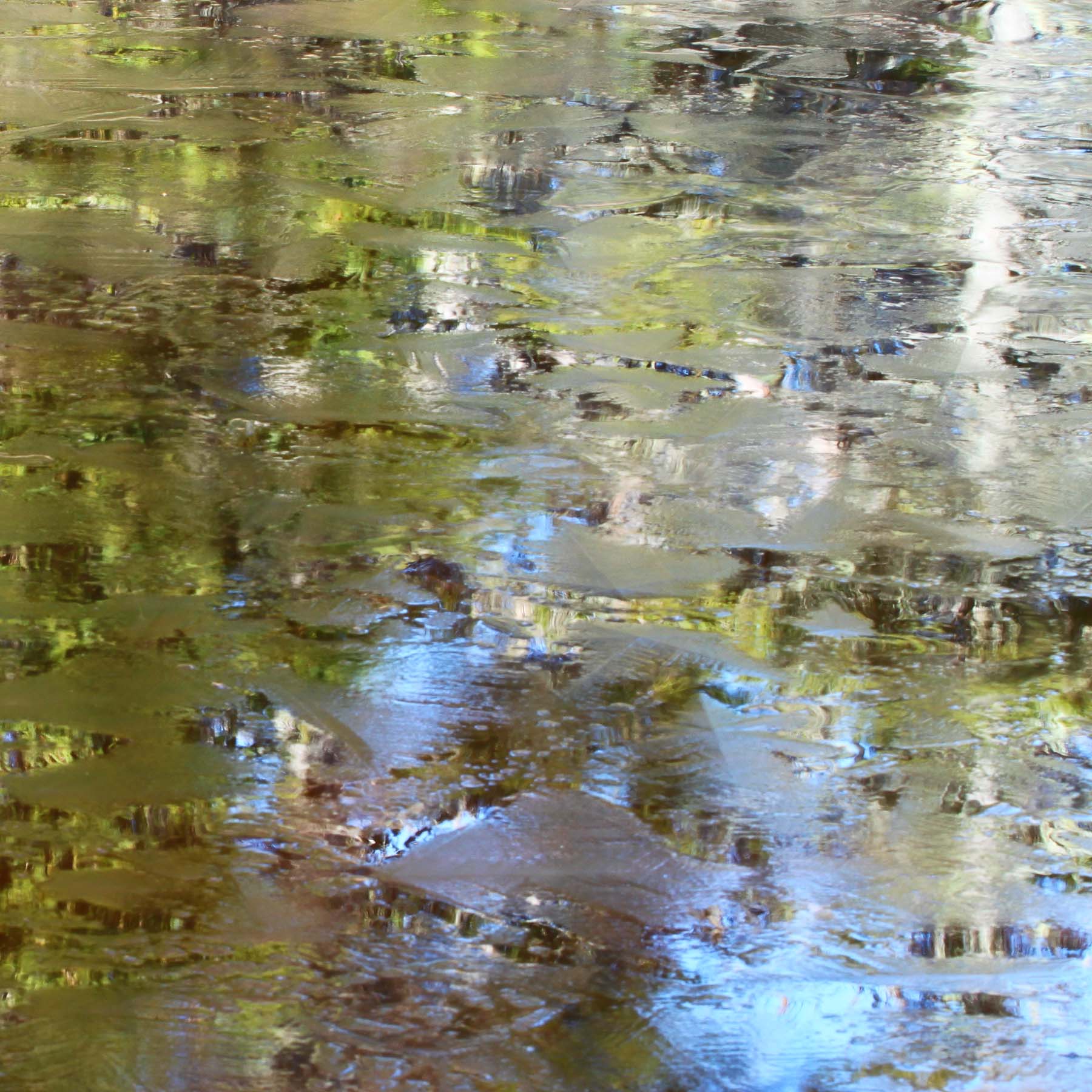 Autumn Ice #5 (Copy)
