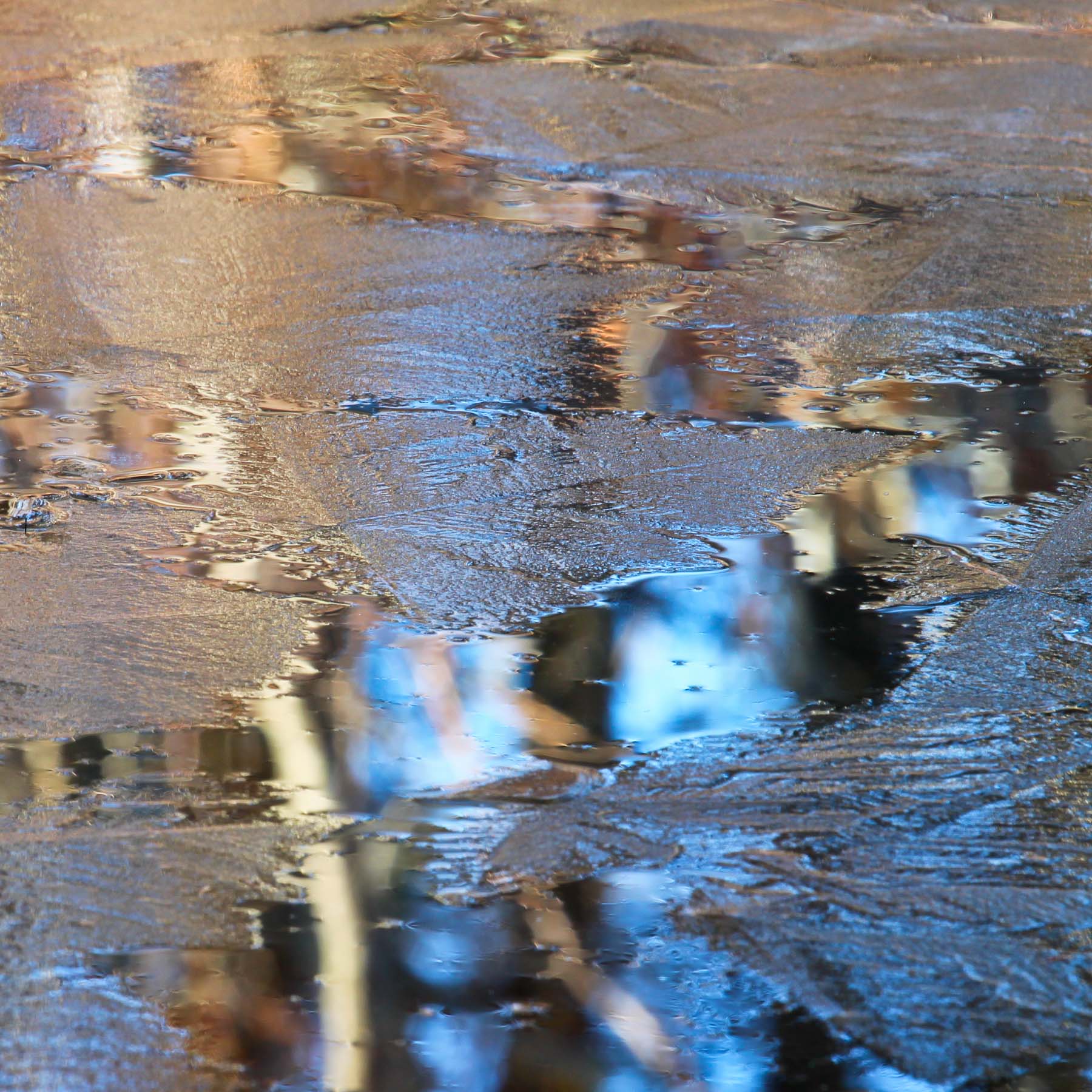 Autumn Ice #6 (Copy)