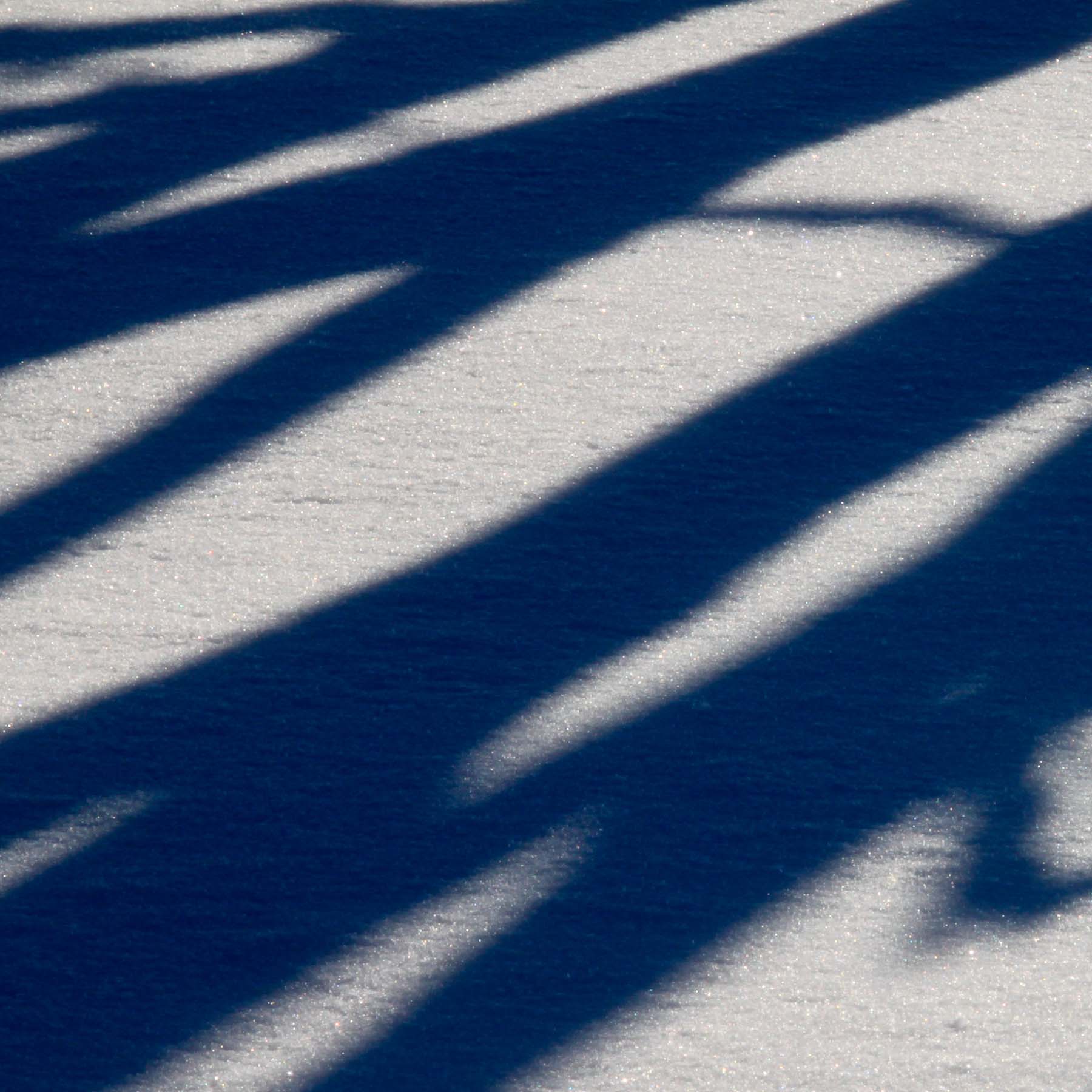 Snow Shadows #4 (Copy)