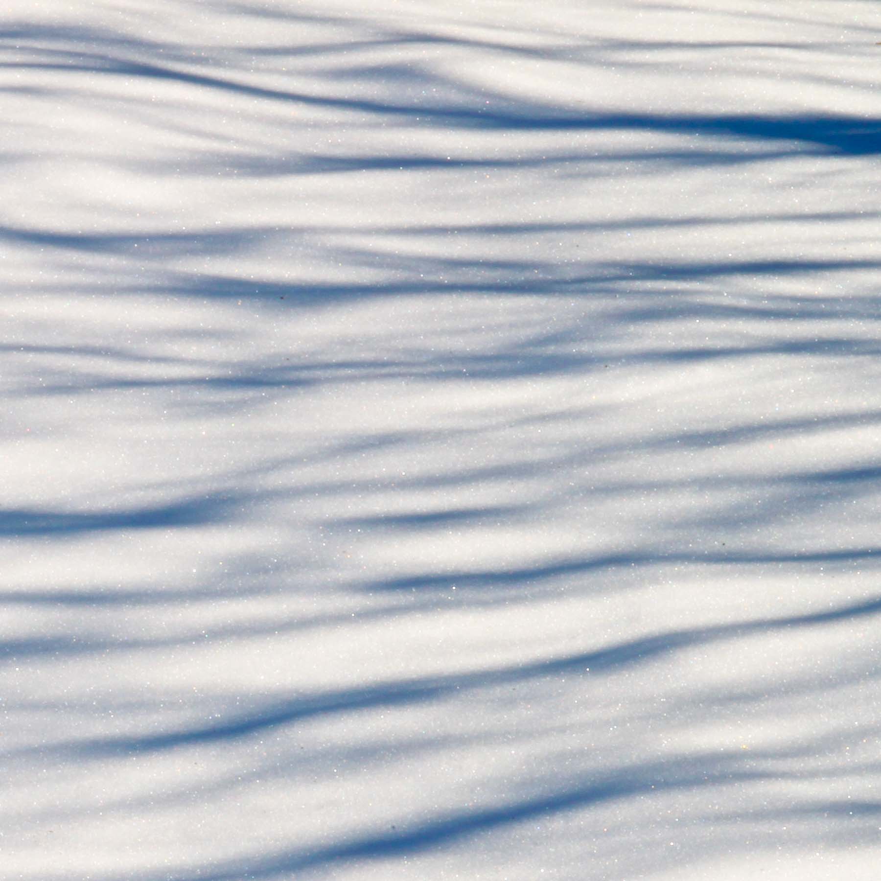 Snow Shadows #6 (Copy)