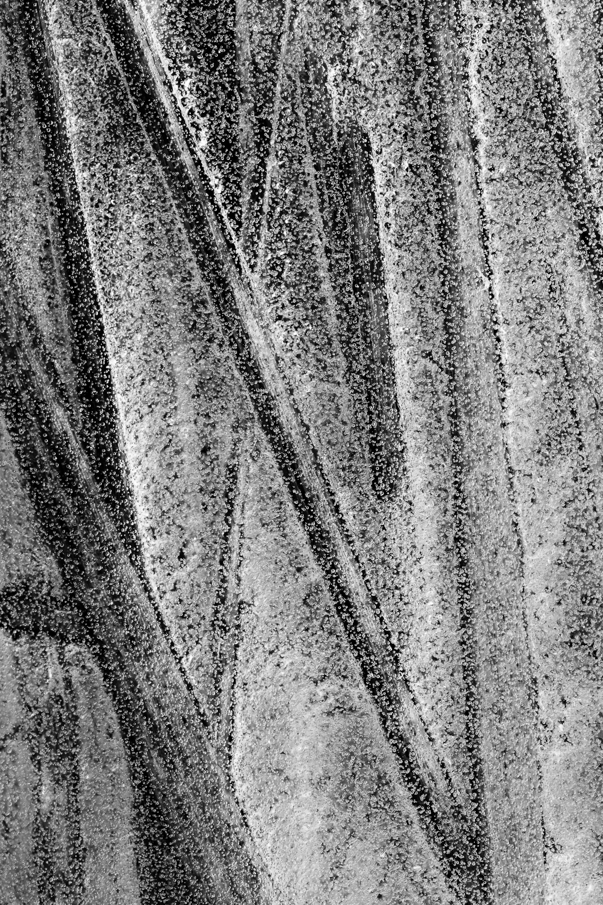 Natural Geometries #1 (Copy)