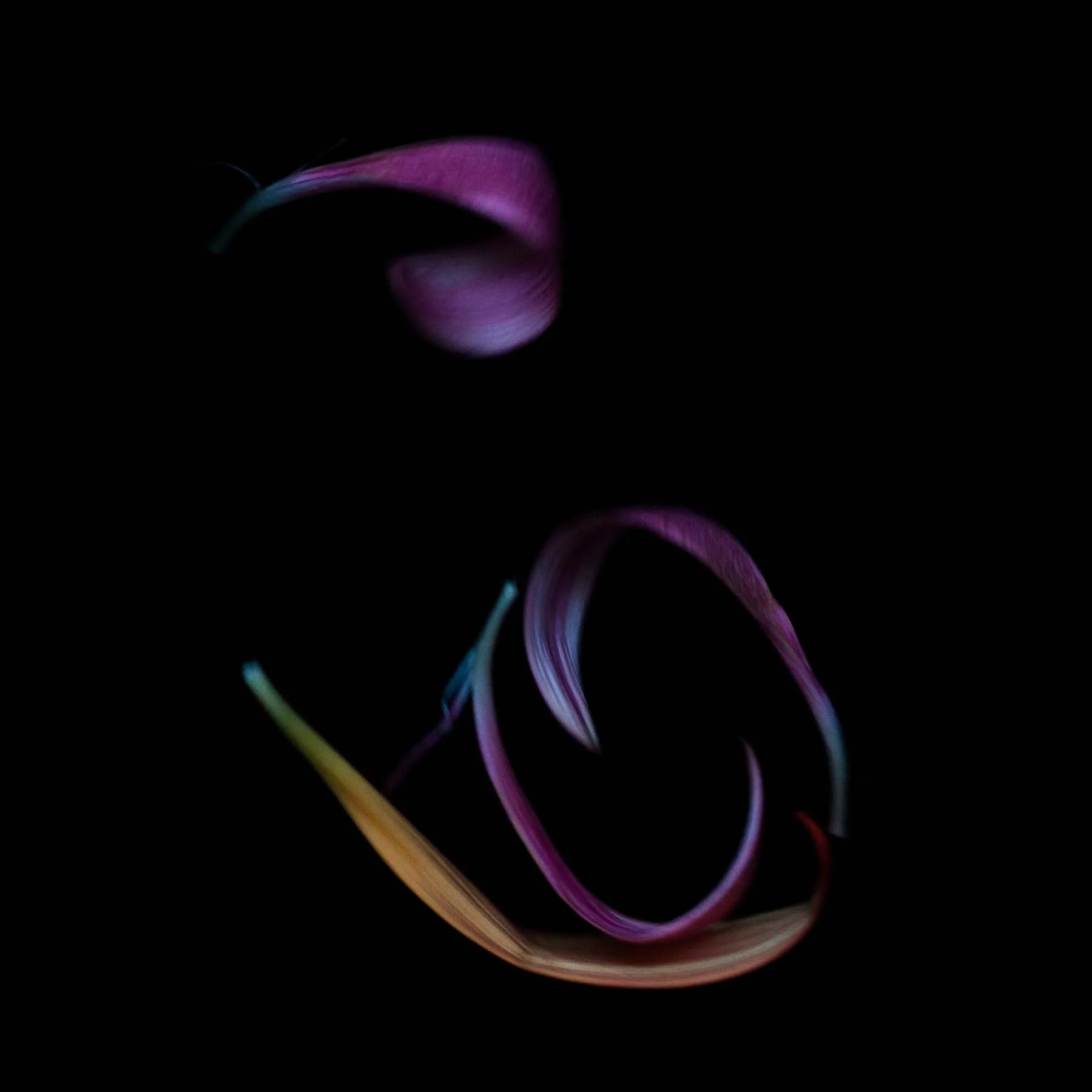 Adagio #29 (Copy)
