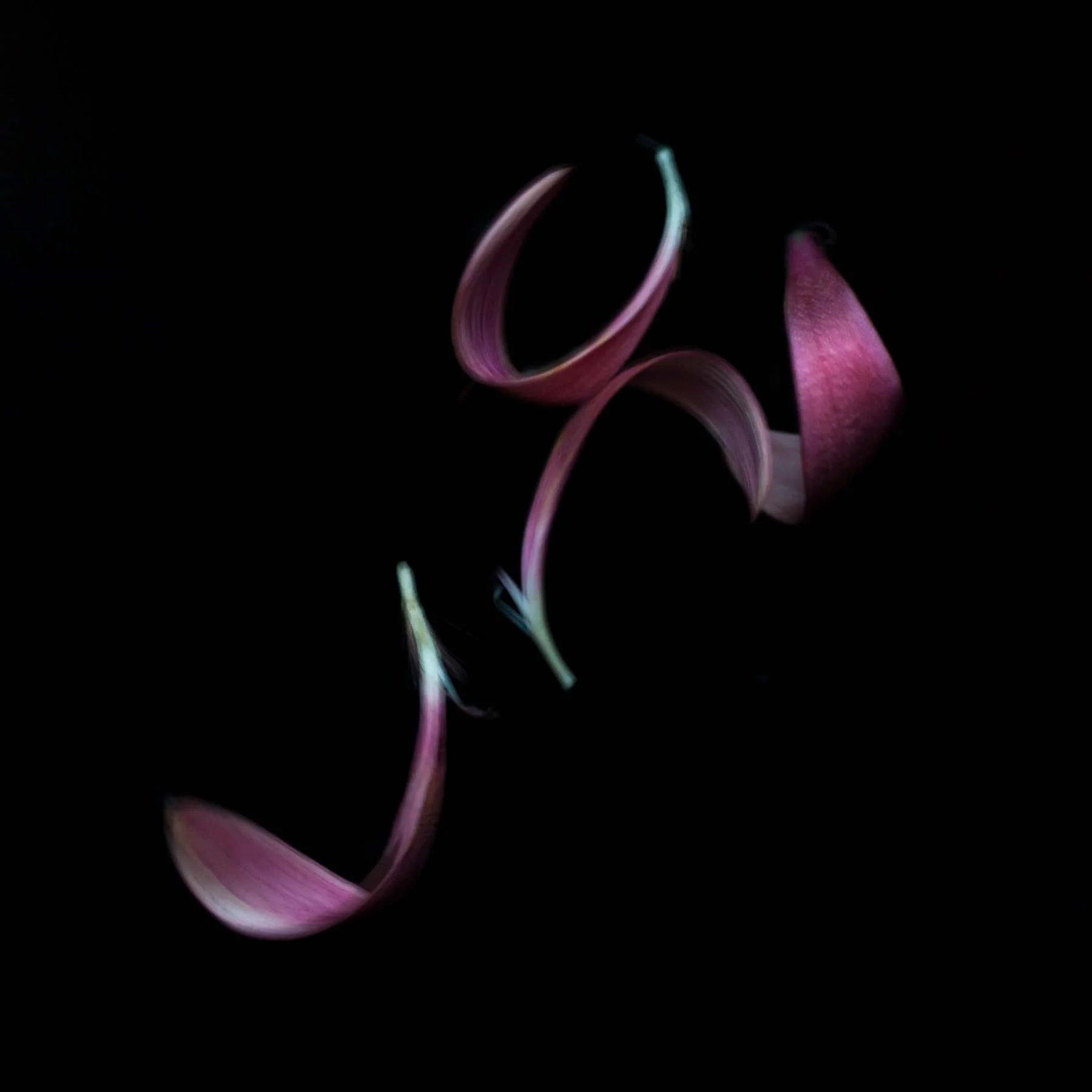 Adagio #25 (Copy)