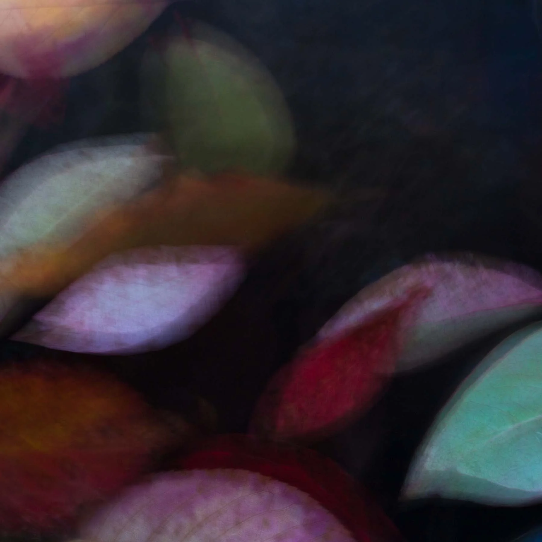 Unleaving #4 (Copy)