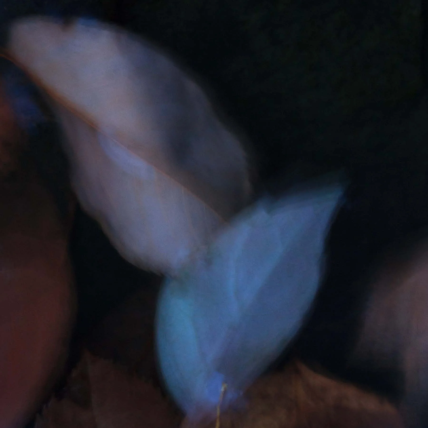 Unleaving #9 (Copy)