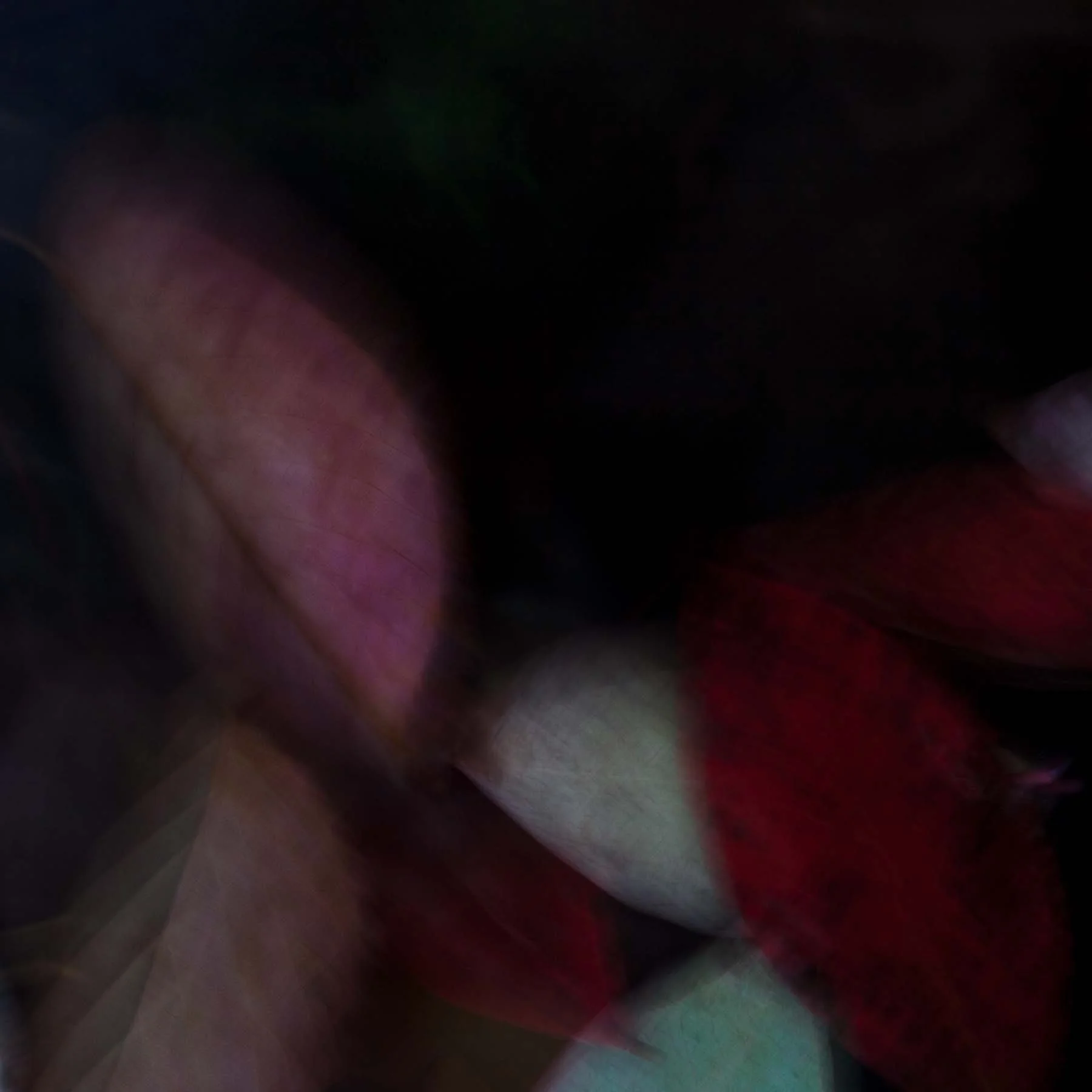 Unleaving #6 (Copy)