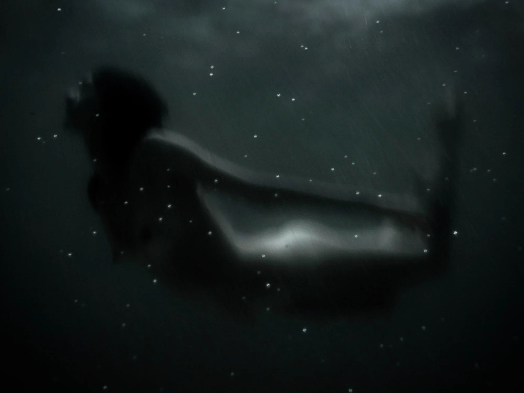 bloom-silence--19.jpg