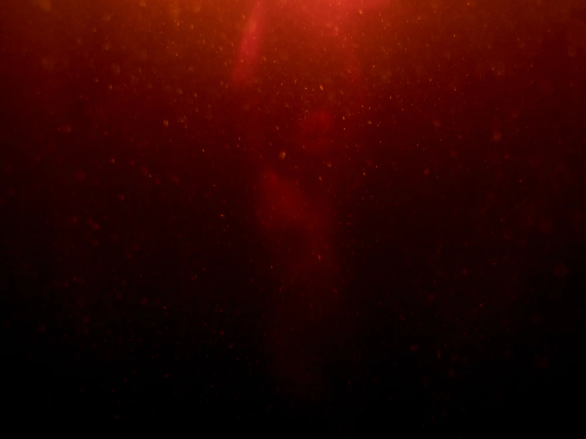 bloom-silence--18.jpg