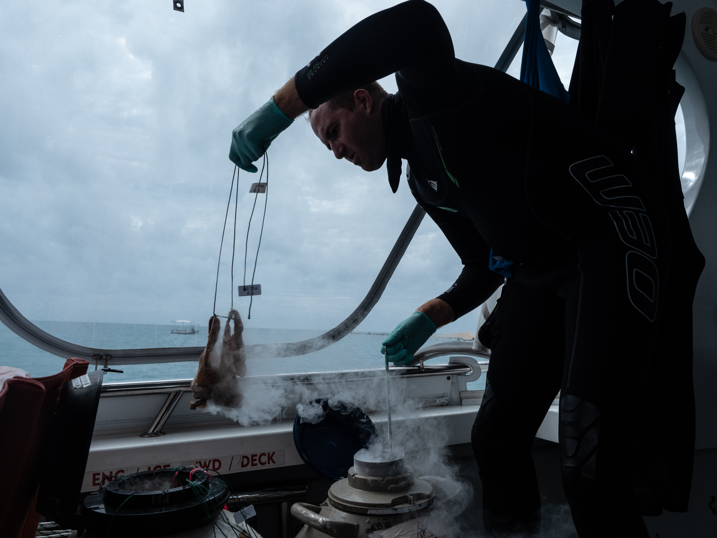  National Geographic - Future Reefs 