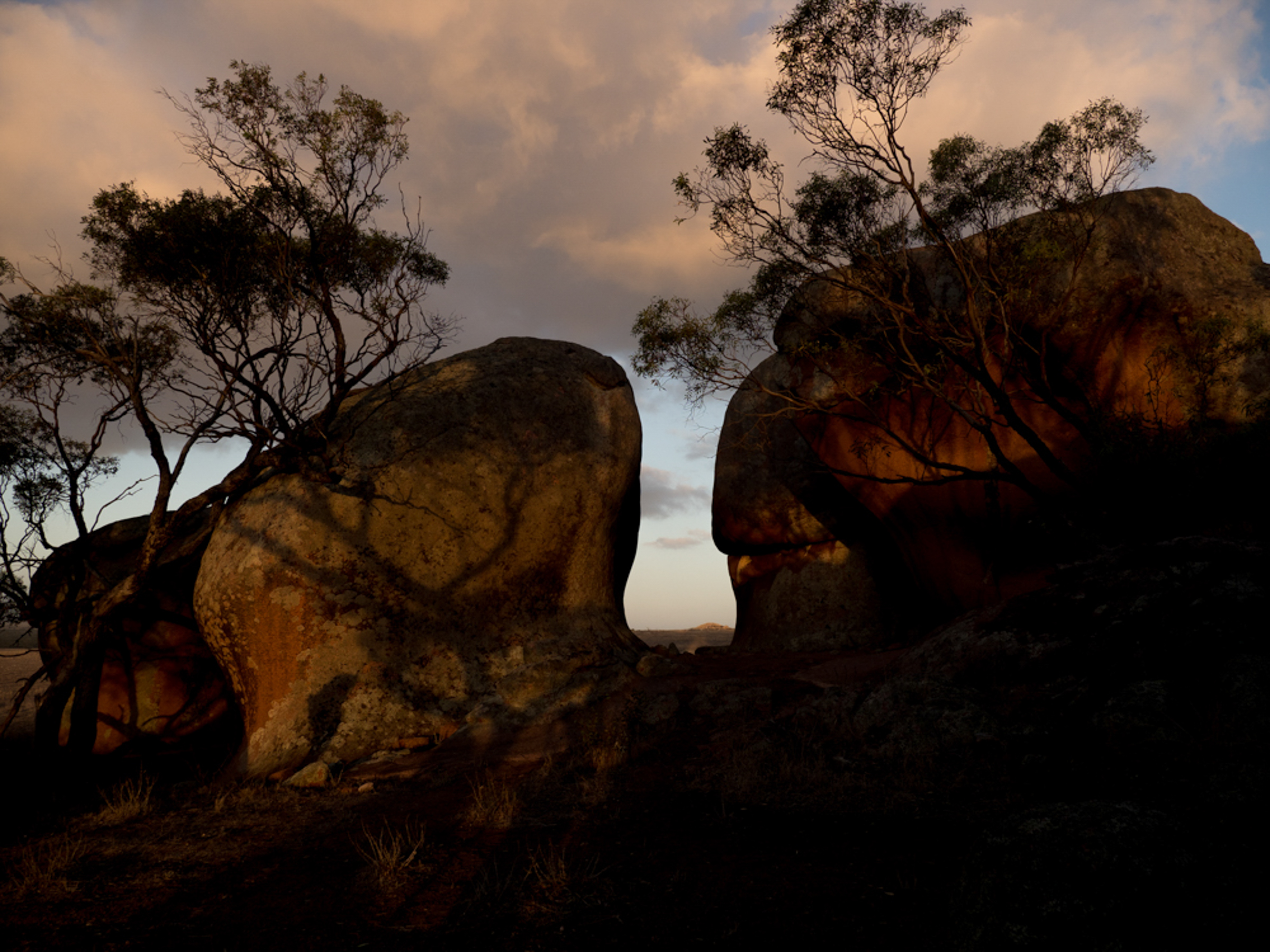 Greenpeace-Mishku-PortLincoln-3180067.jpg
