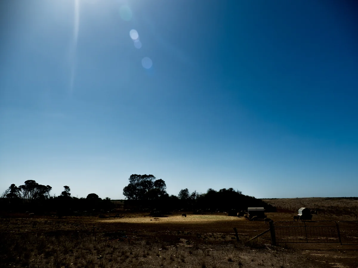 A farm in Elliston