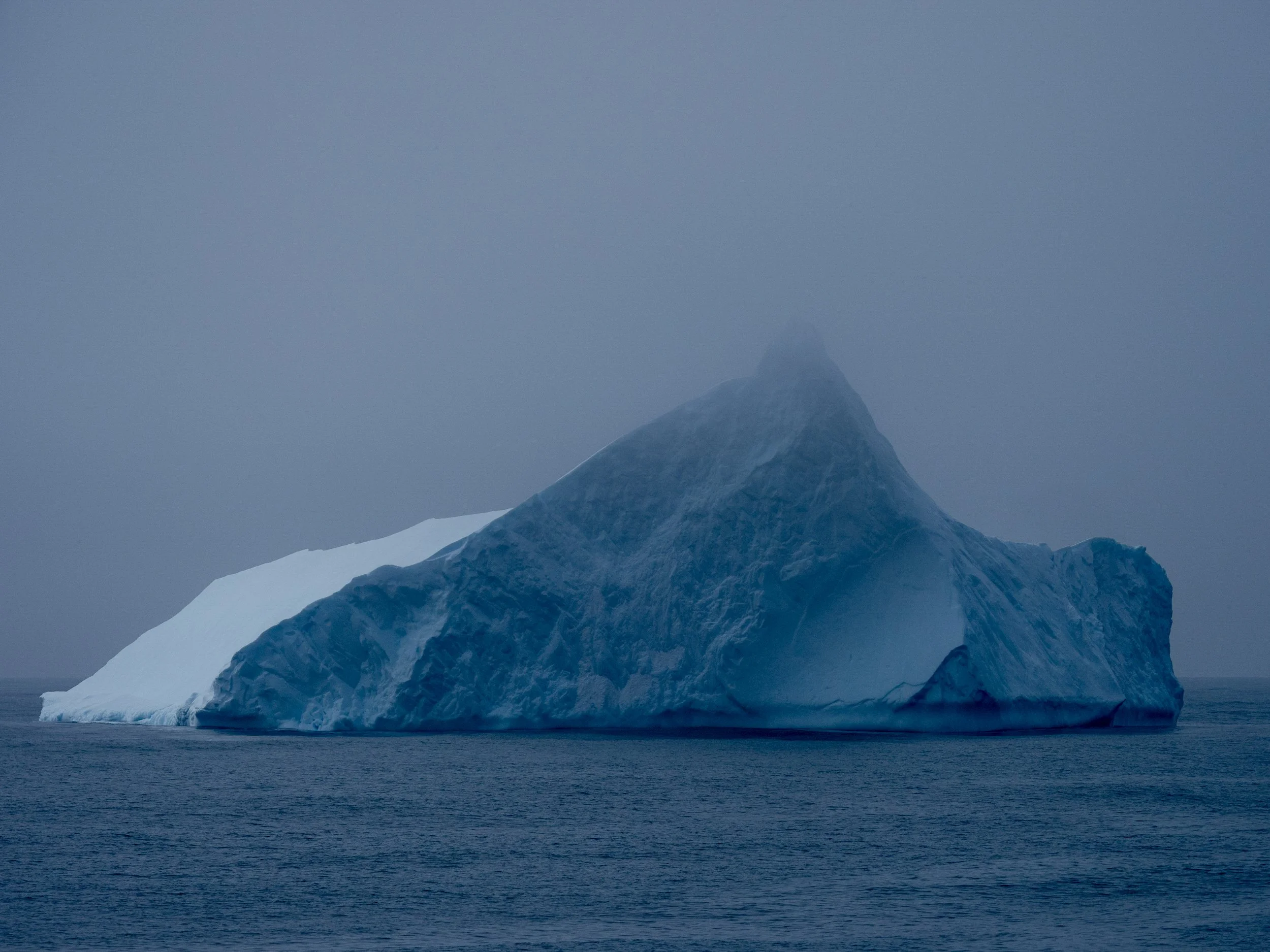 _1110019-2.jpg