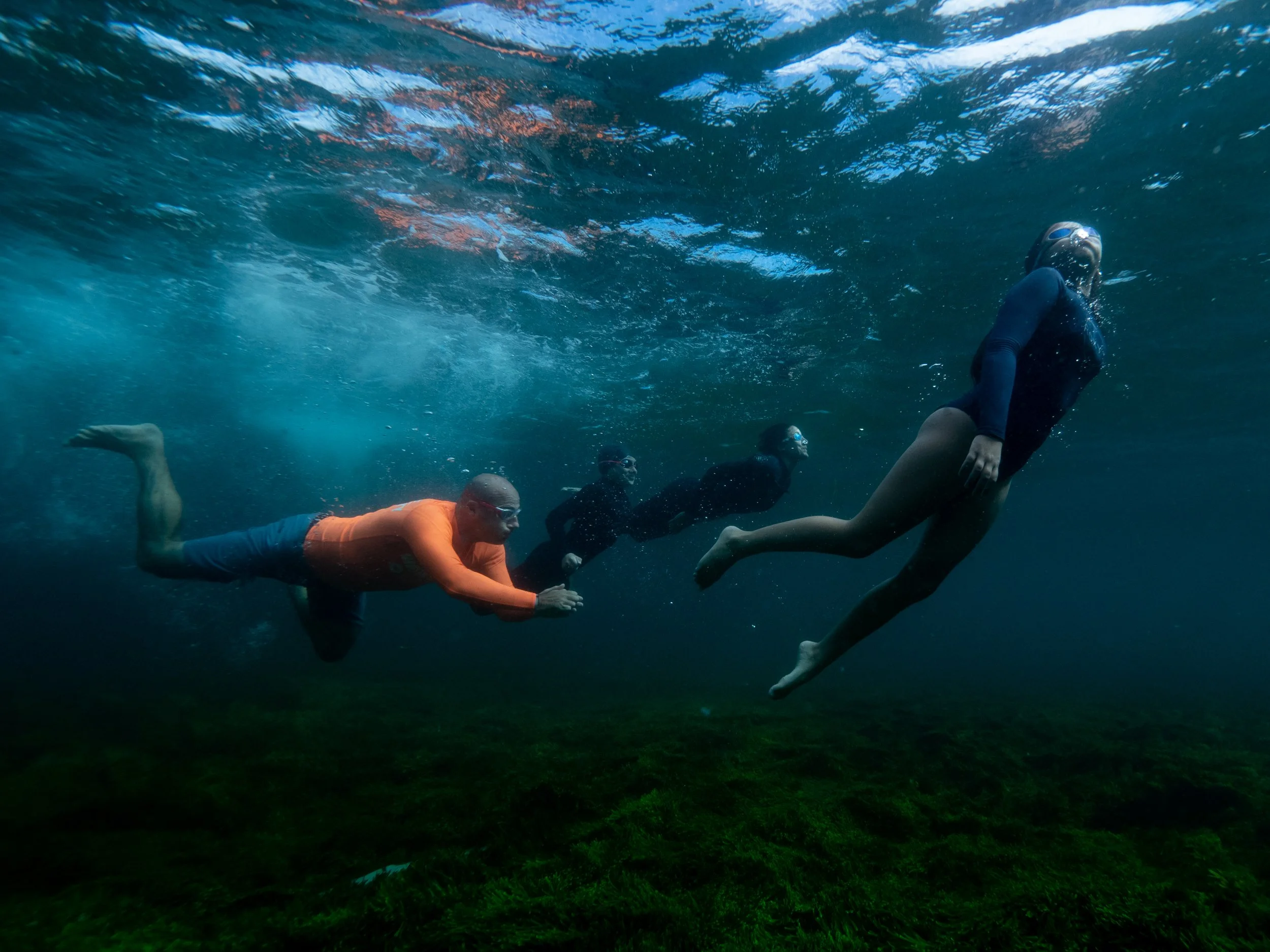 The New York Times | I Hated Swimming. Then I Moved to Australia
