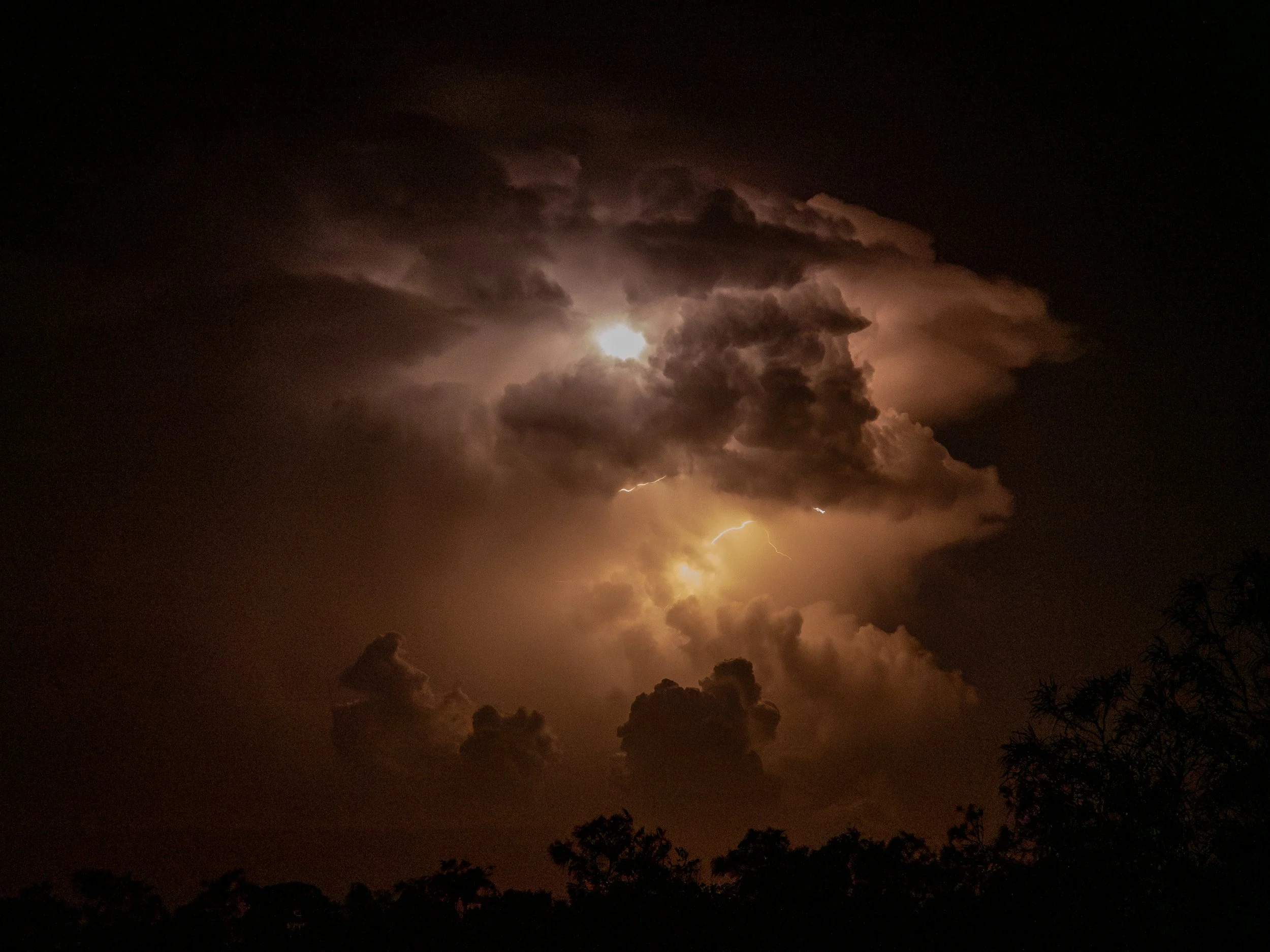 P2164416-Enhanced-NR-2.JPG