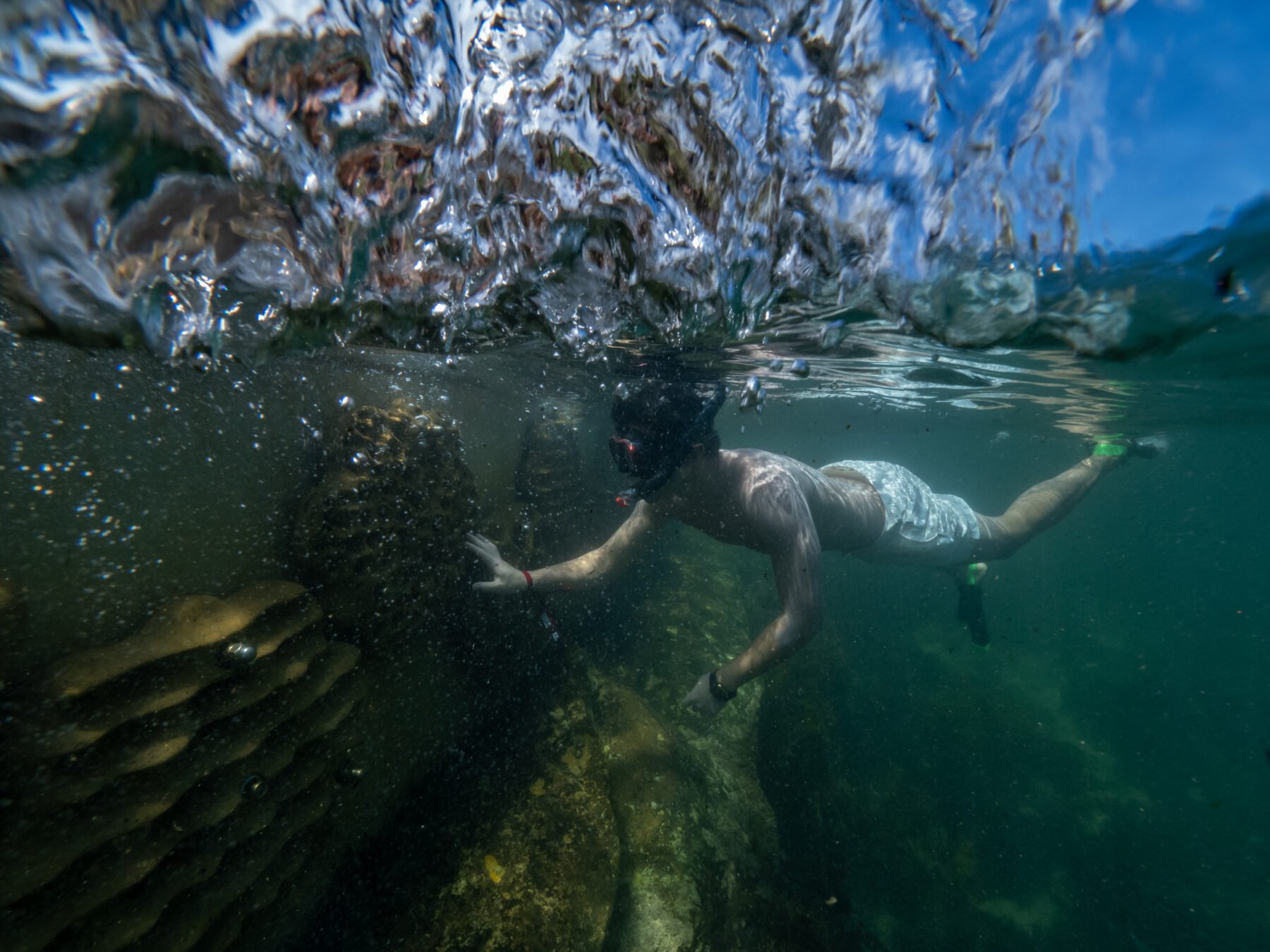 MichaelaSkovranova_AG-179-Reefwall-281415-1800x1350.jpg
