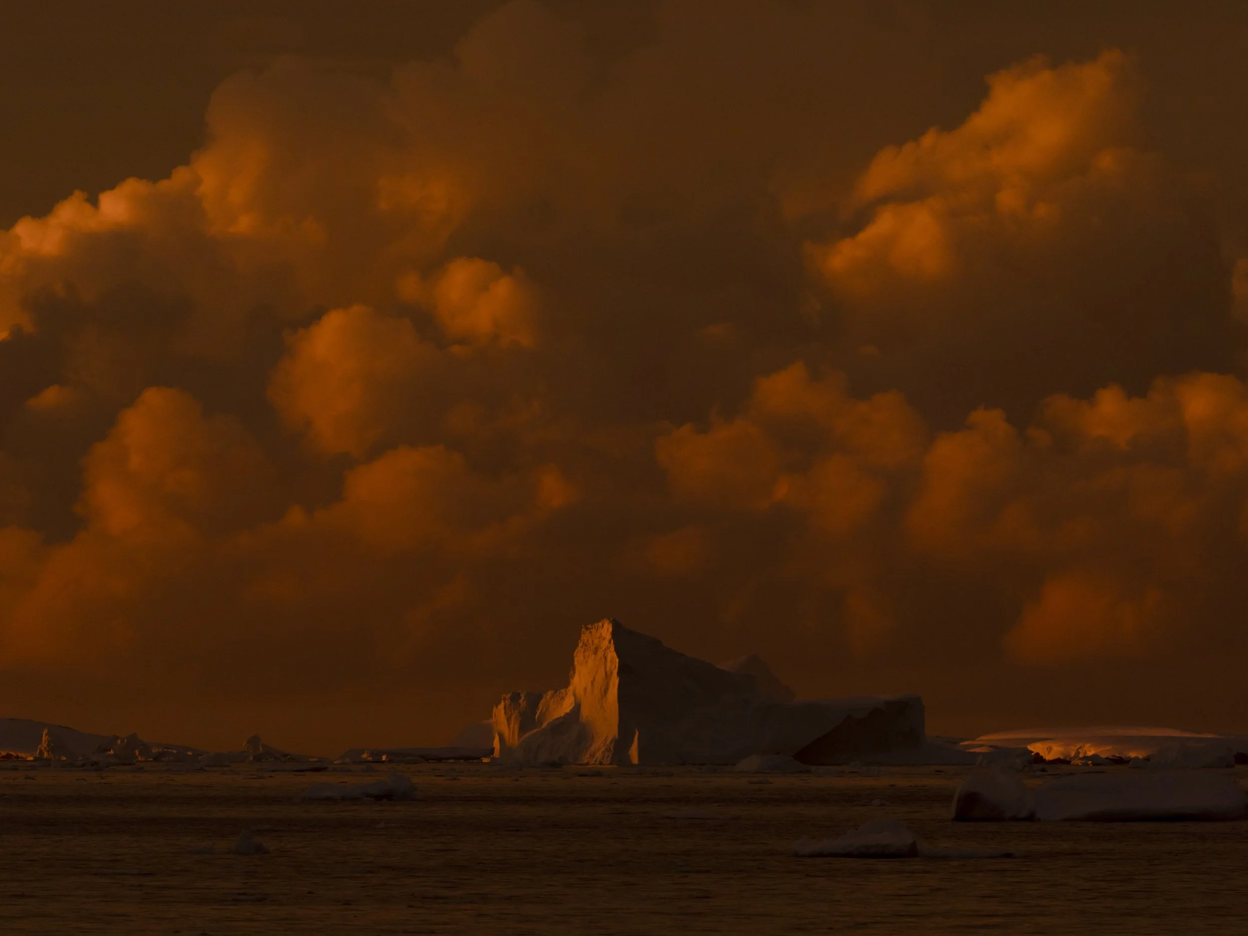 Midnight Sun
