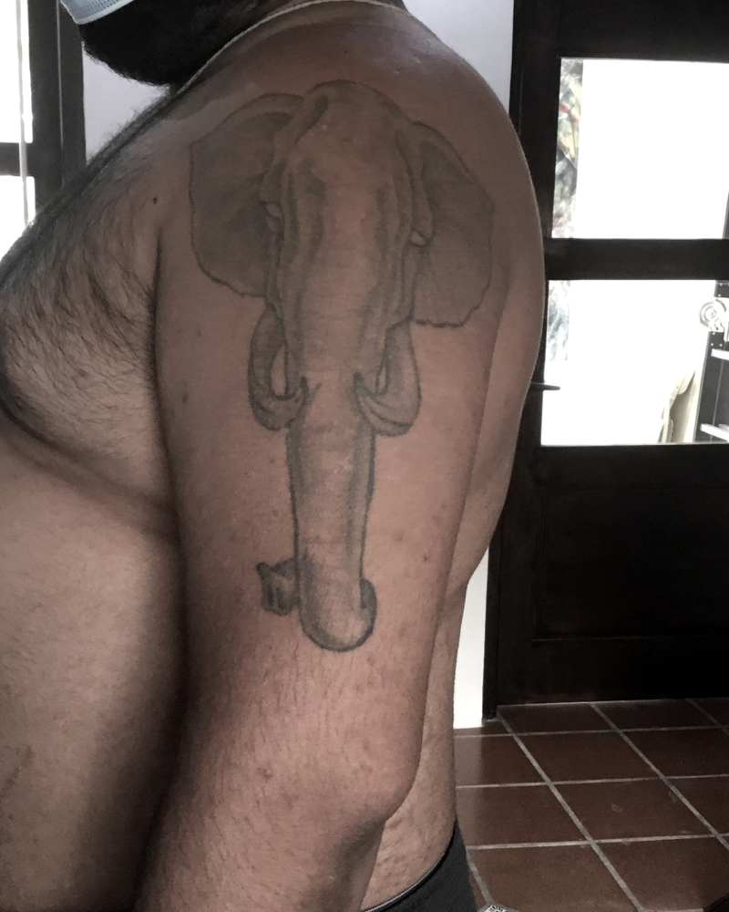 0304 - elephant cover up - before.png