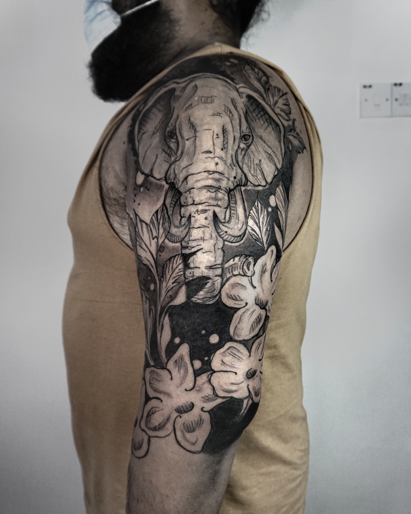 0304 - elephant cover up.png