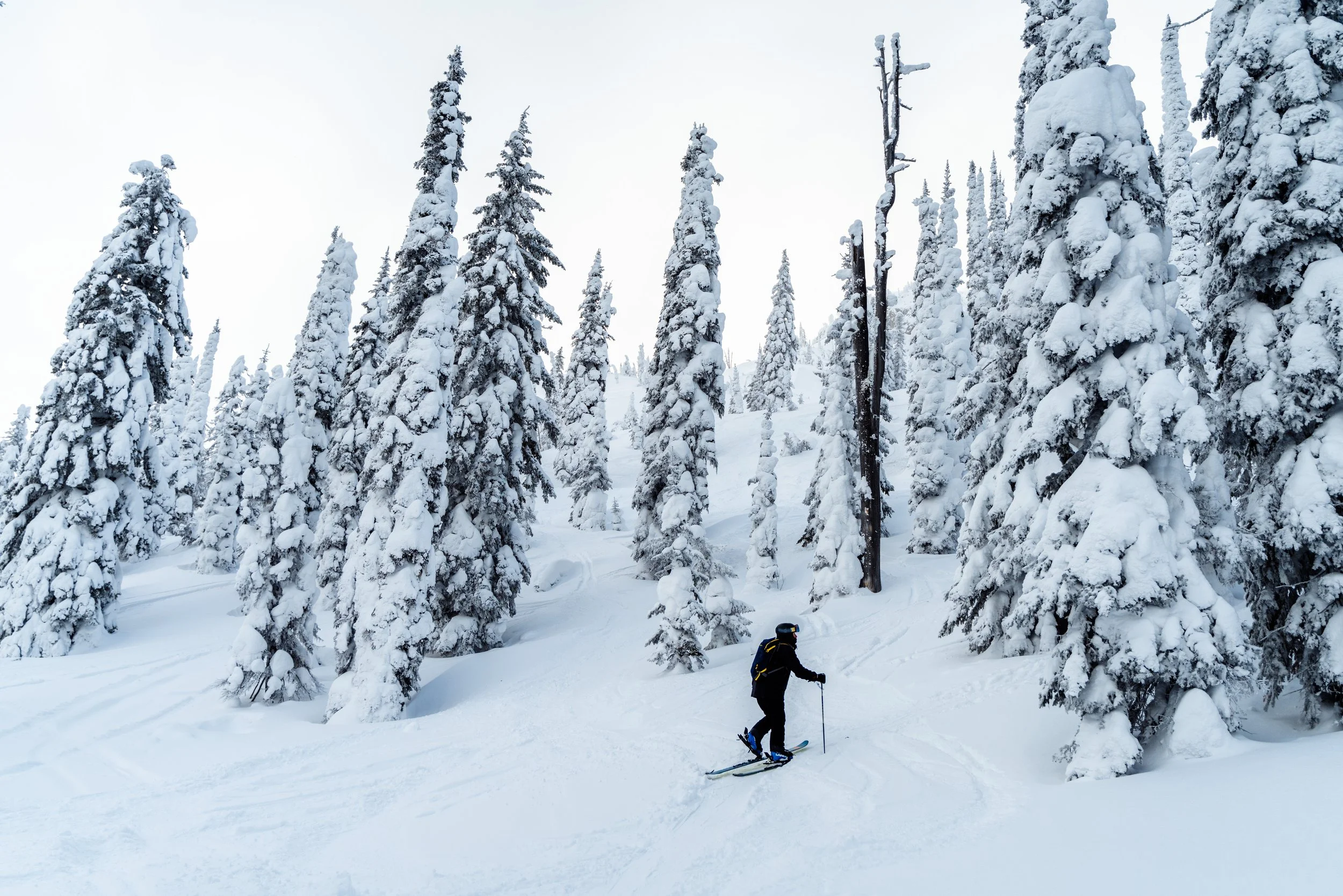 Backcountry Day-18.jpg