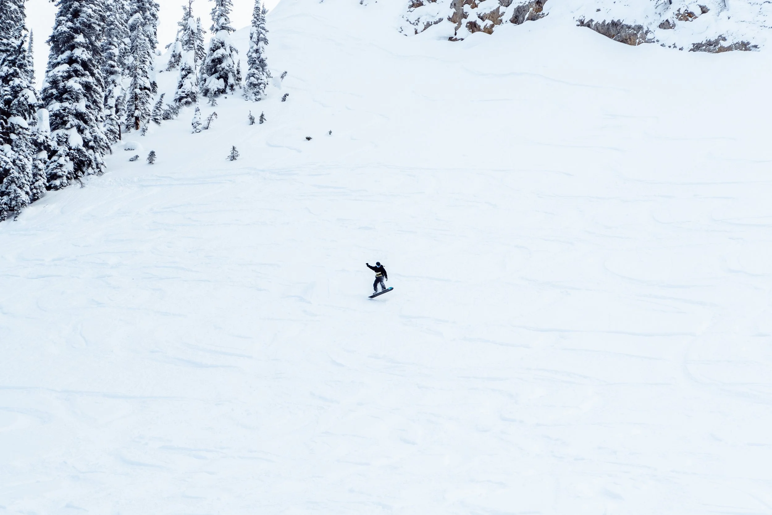 Backcountry.jpg