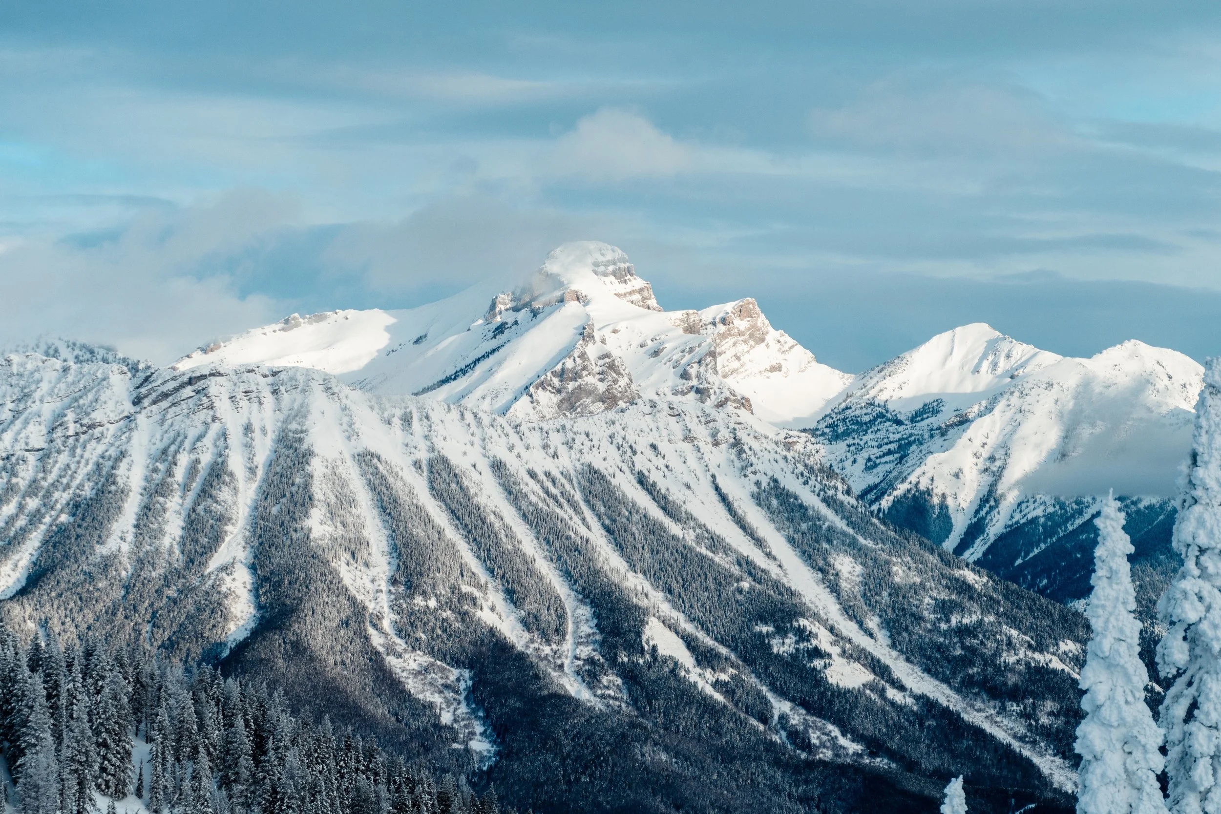 Landscapes 1-2.jpg