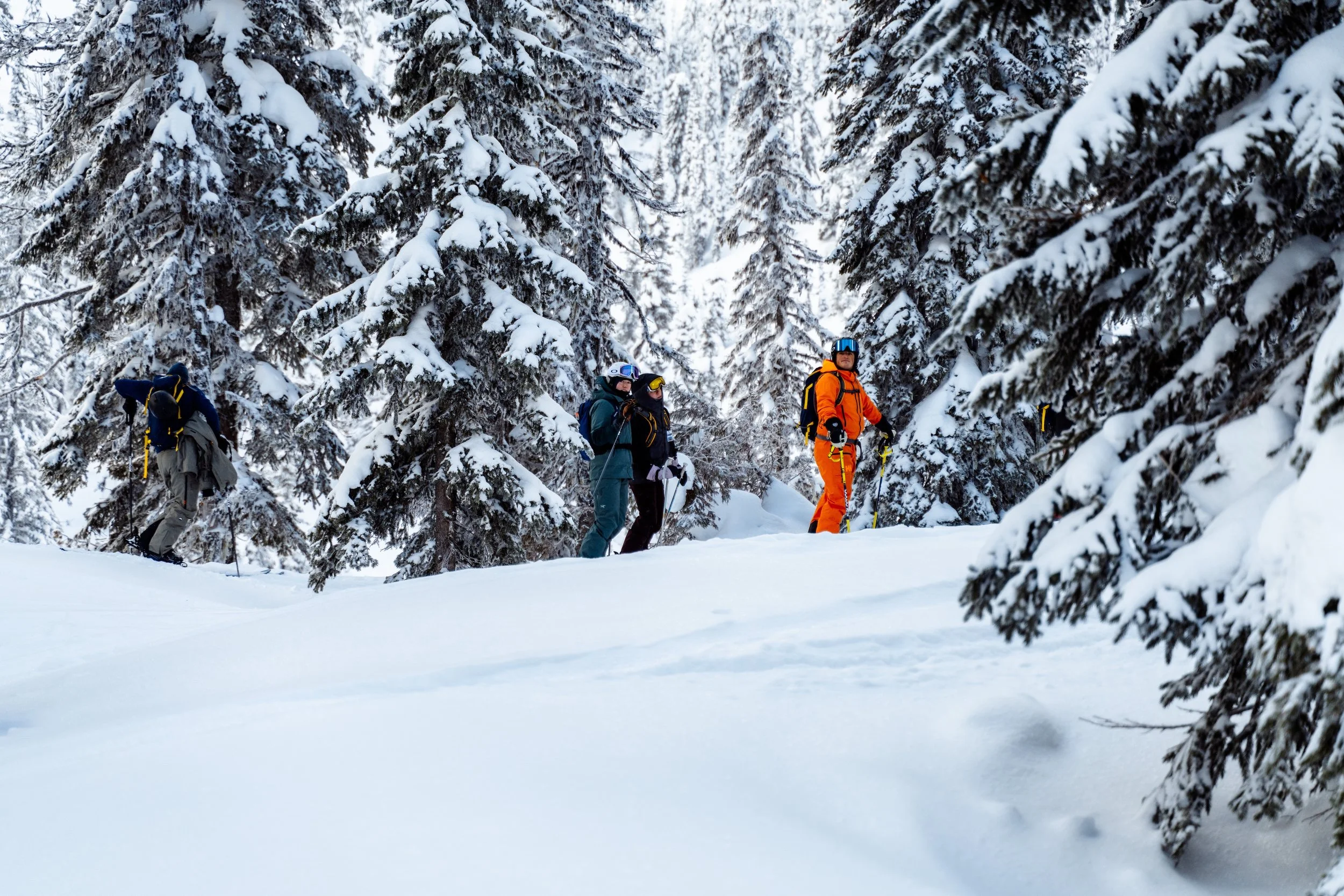 Backcountry Day-5.jpg