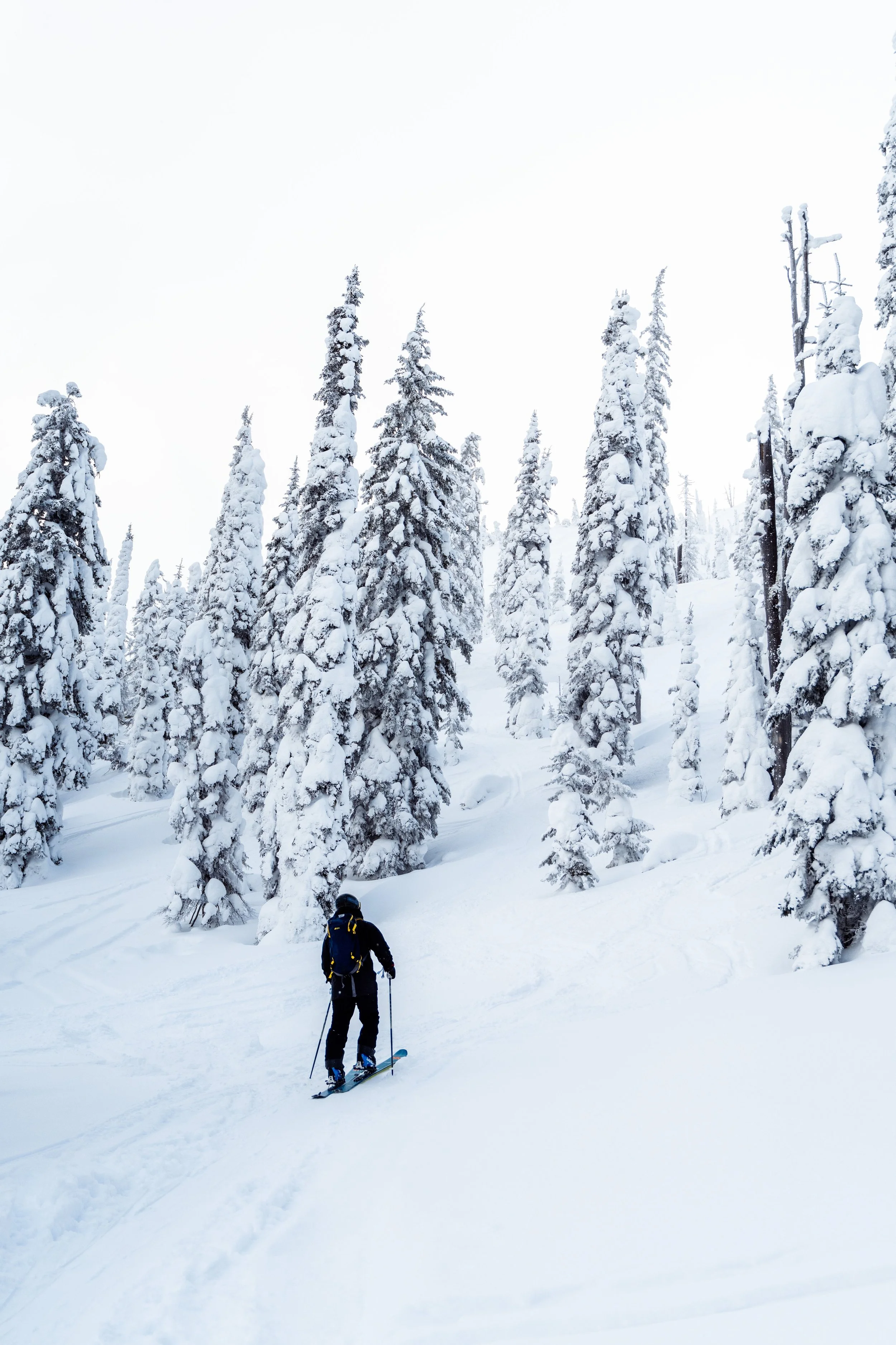 Backcountry Day-16.jpg