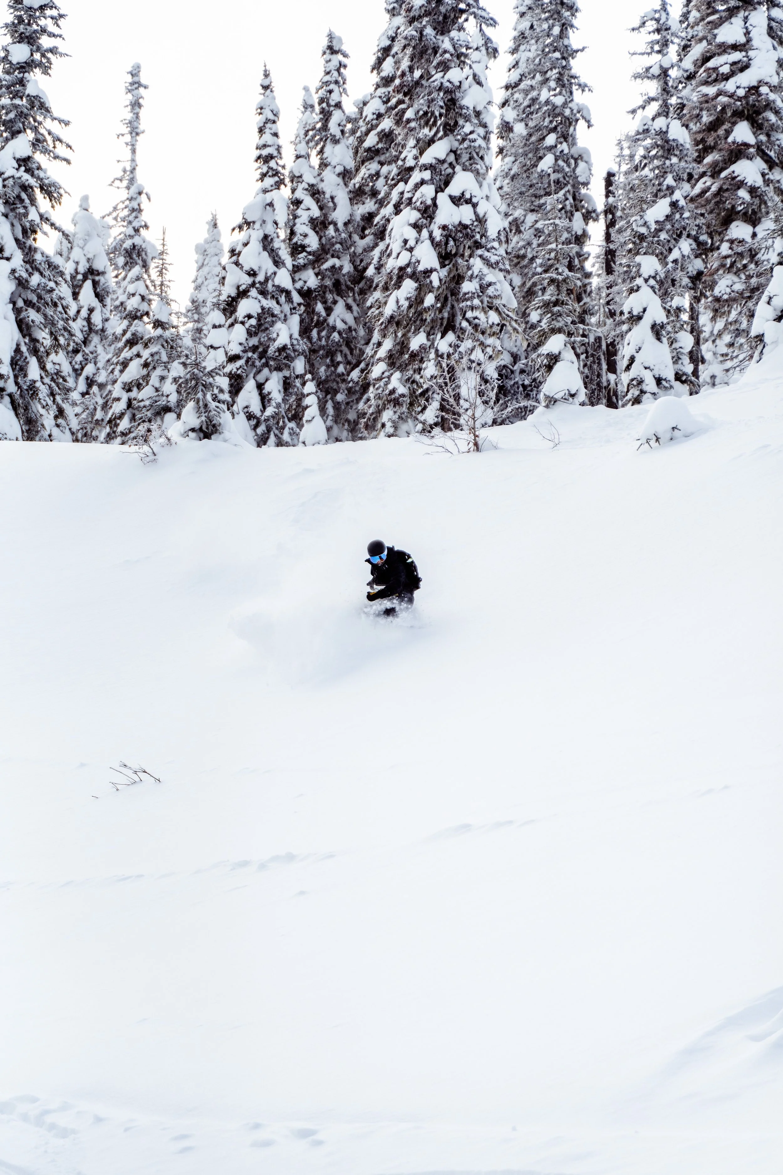 Backcountry Day-75.jpg