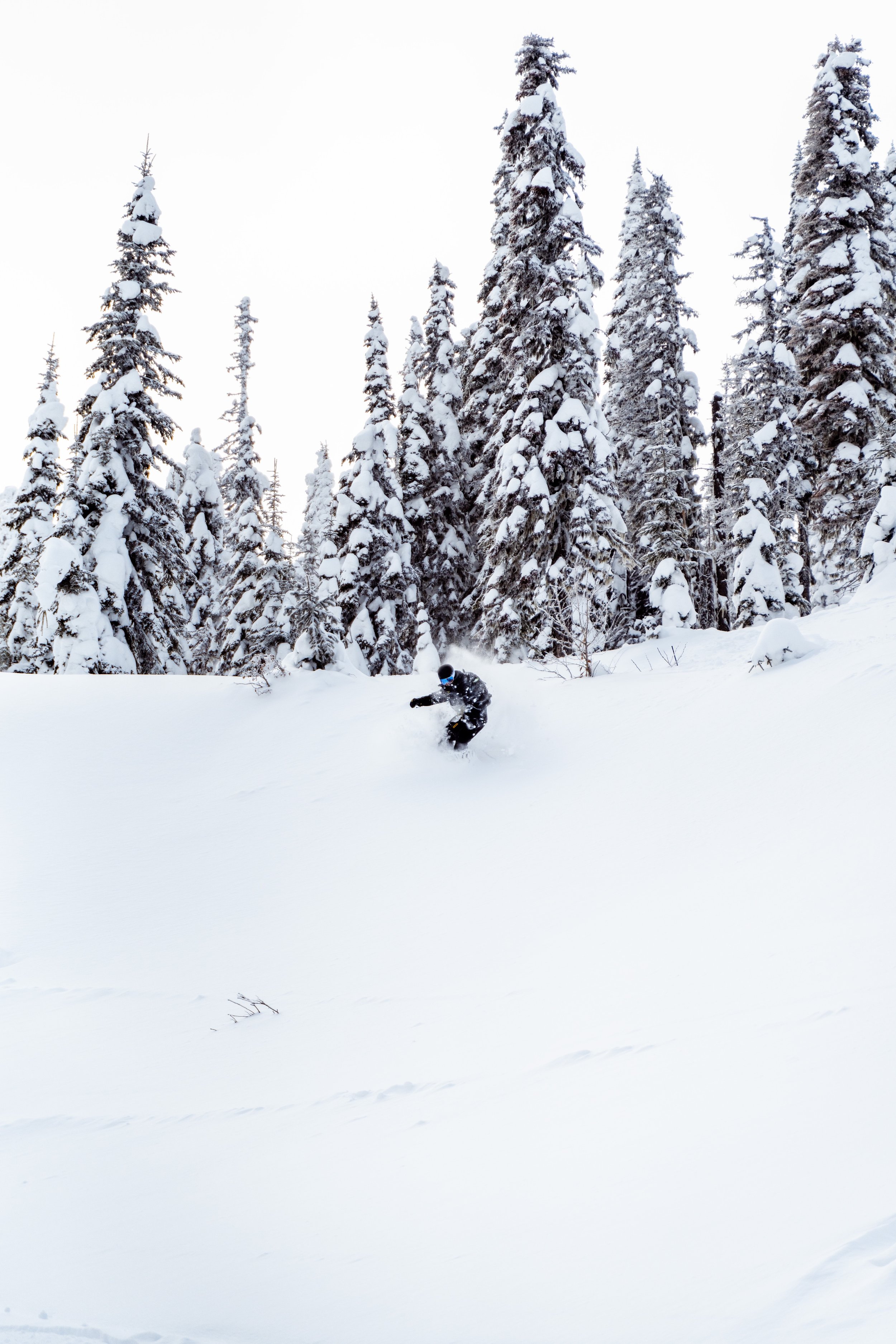 Backcountry Day-74.jpg