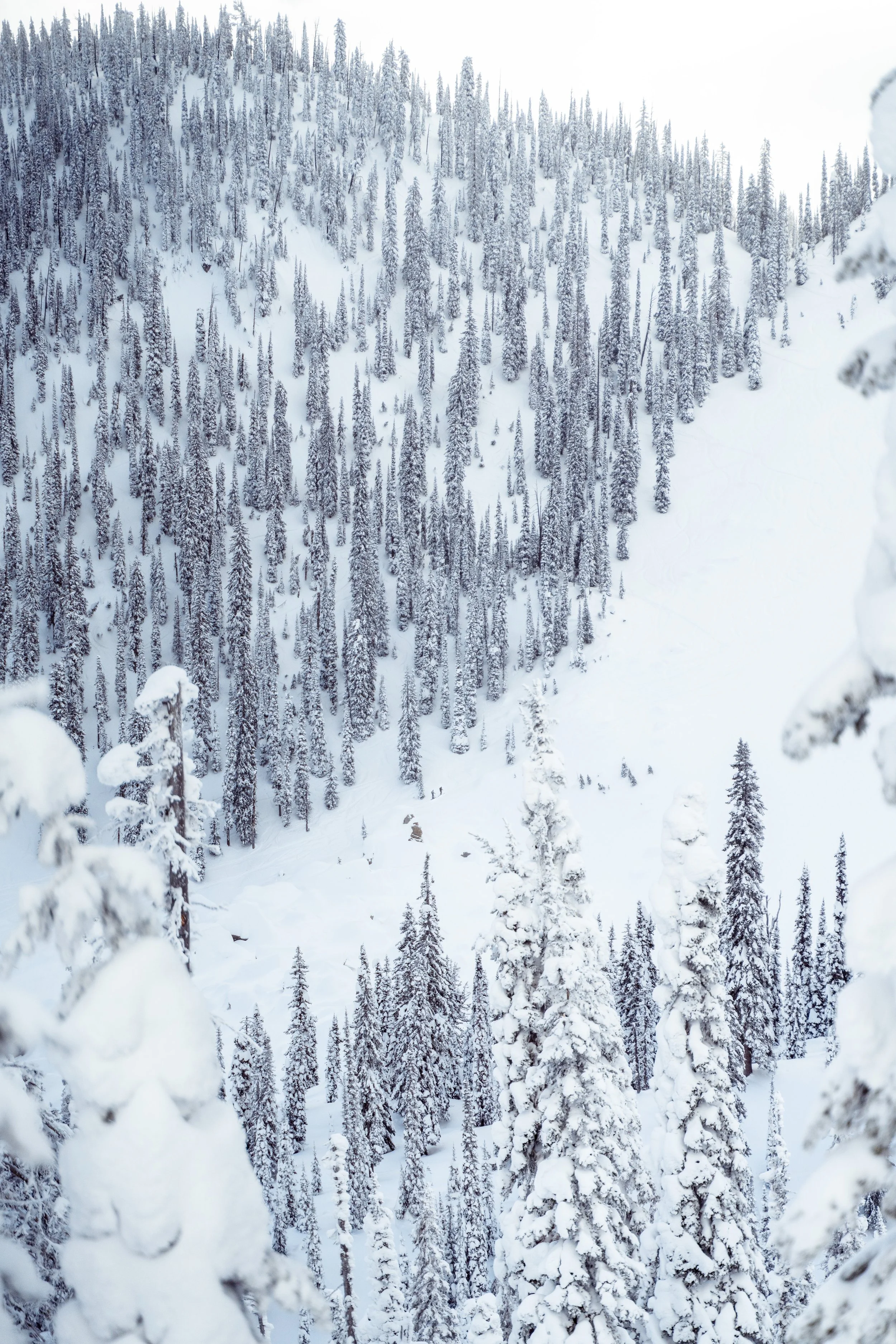 Backcountry Day-65.jpg