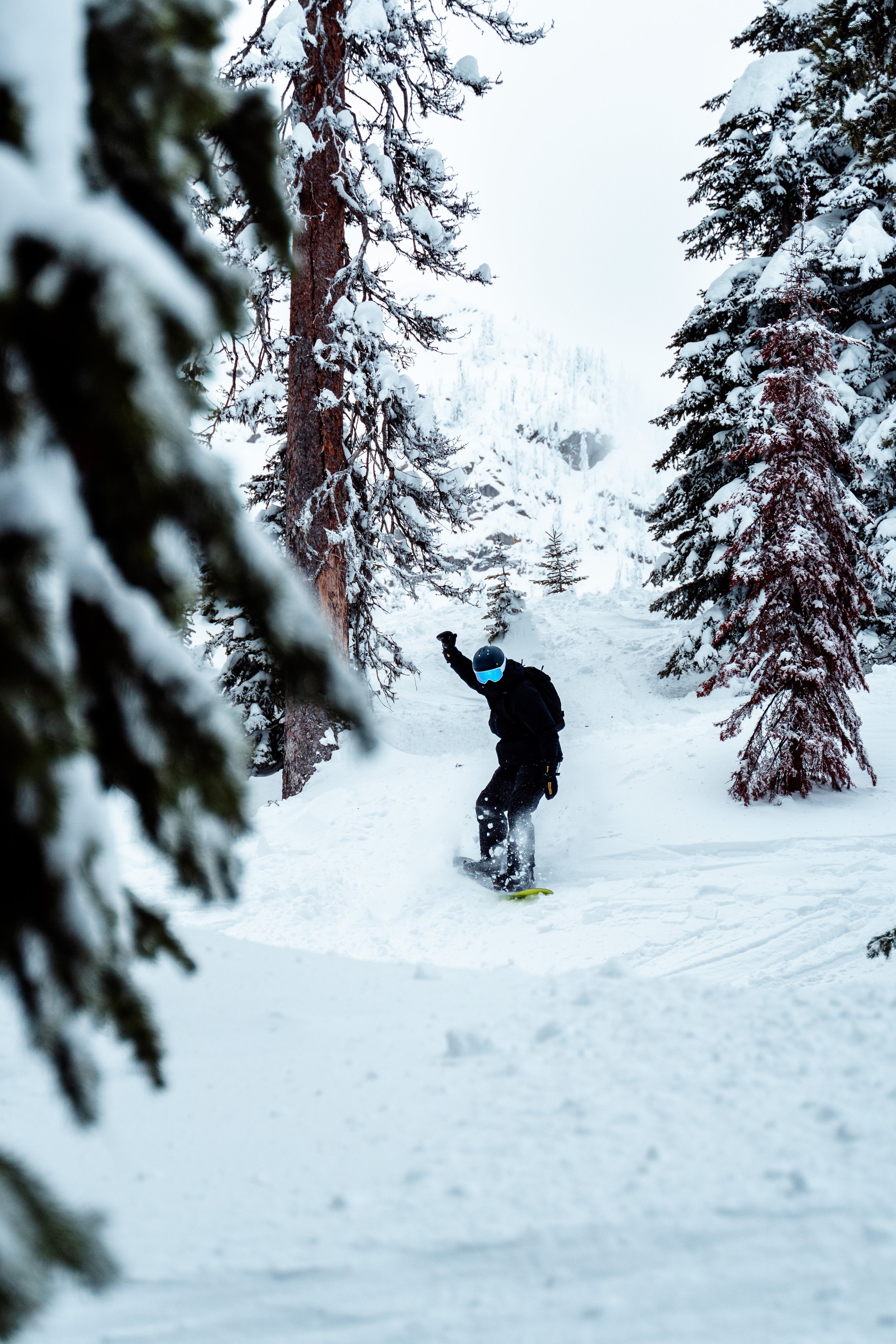 Fernie 11th Jan 2025-23.jpg