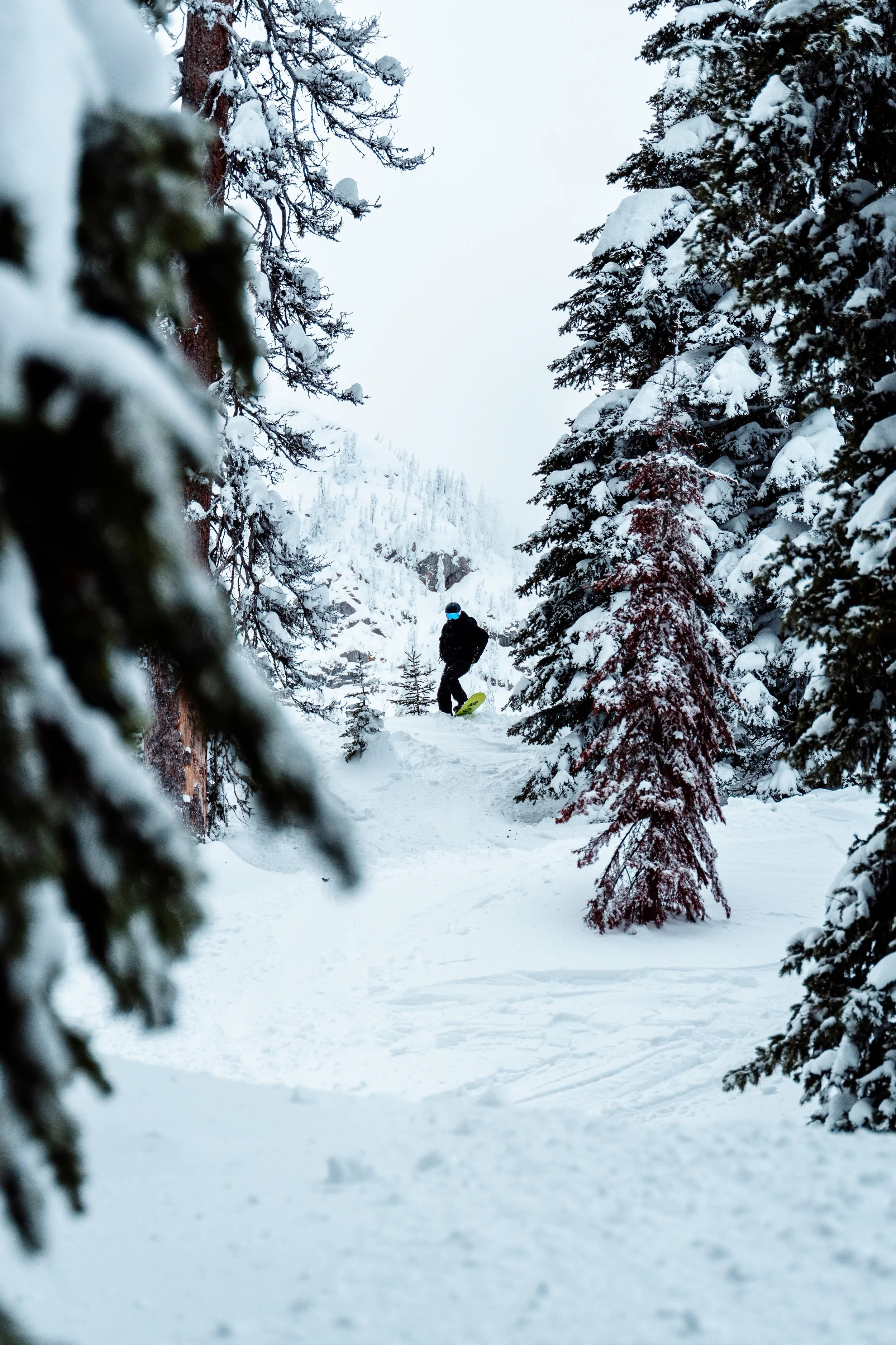 Fernie 11th Jan 2025-19.jpg