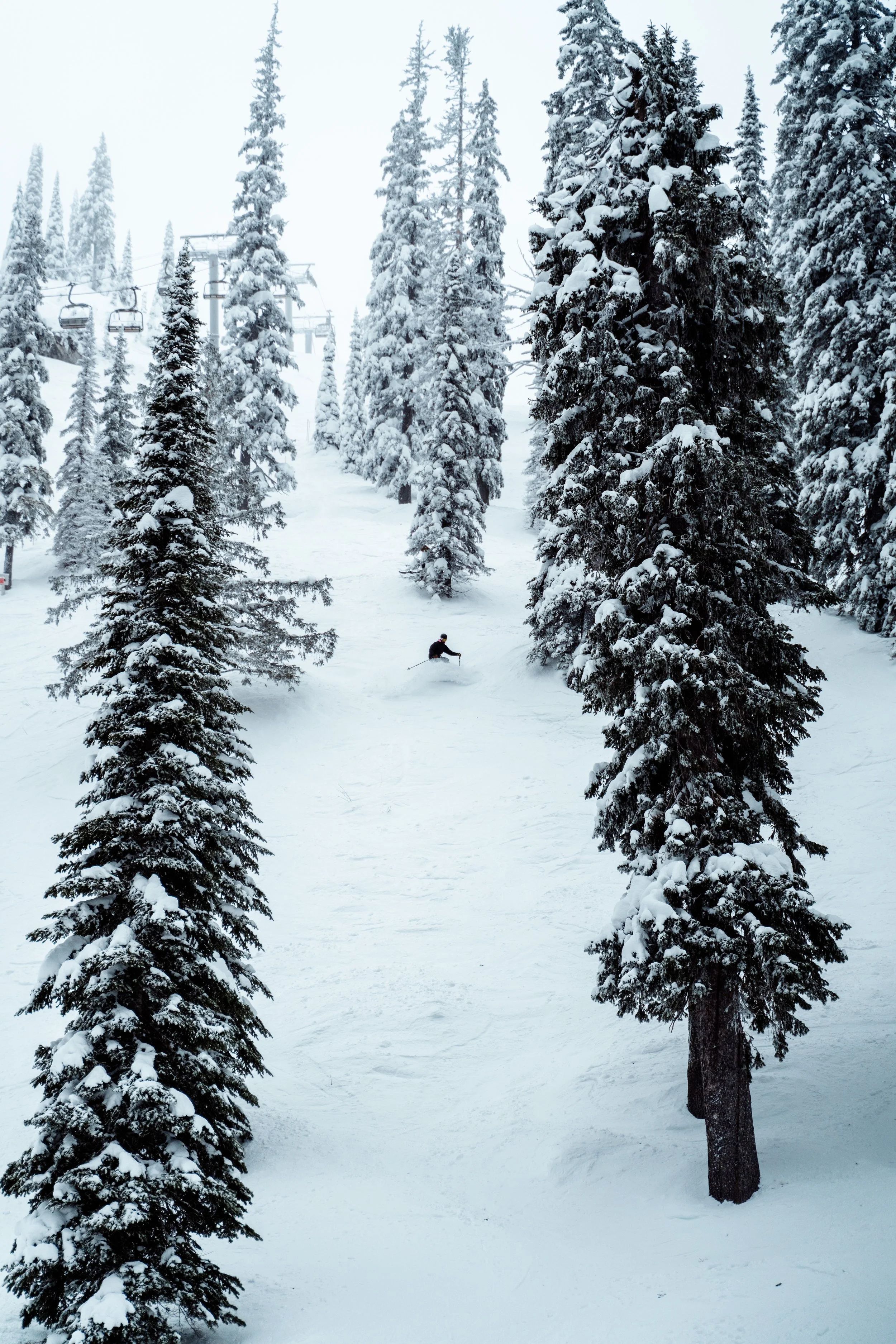Fernie 9th Jan 2025-5.jpg