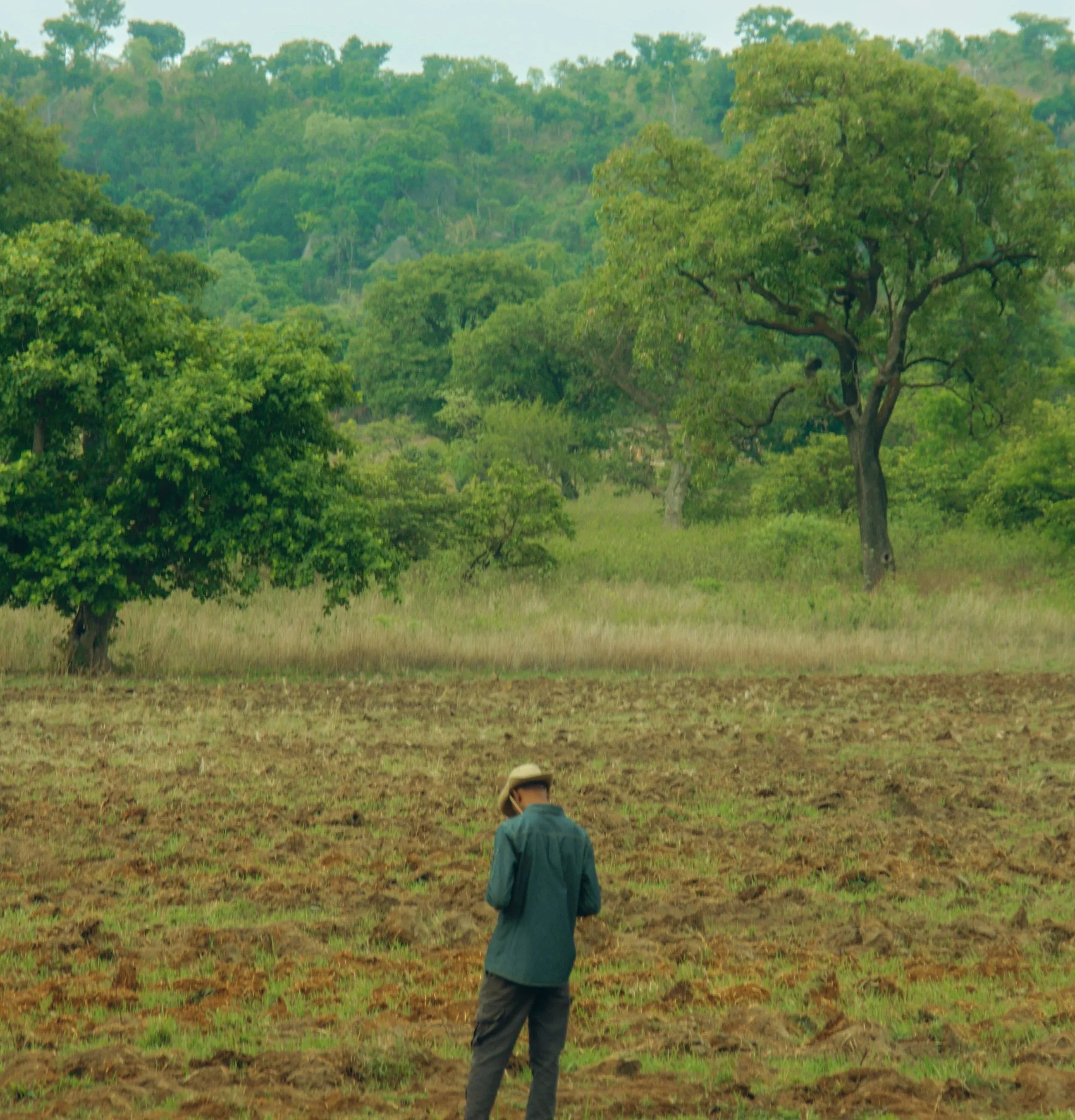 A person in a hat and green jacket standing in a field with trees and green foliage in the background.