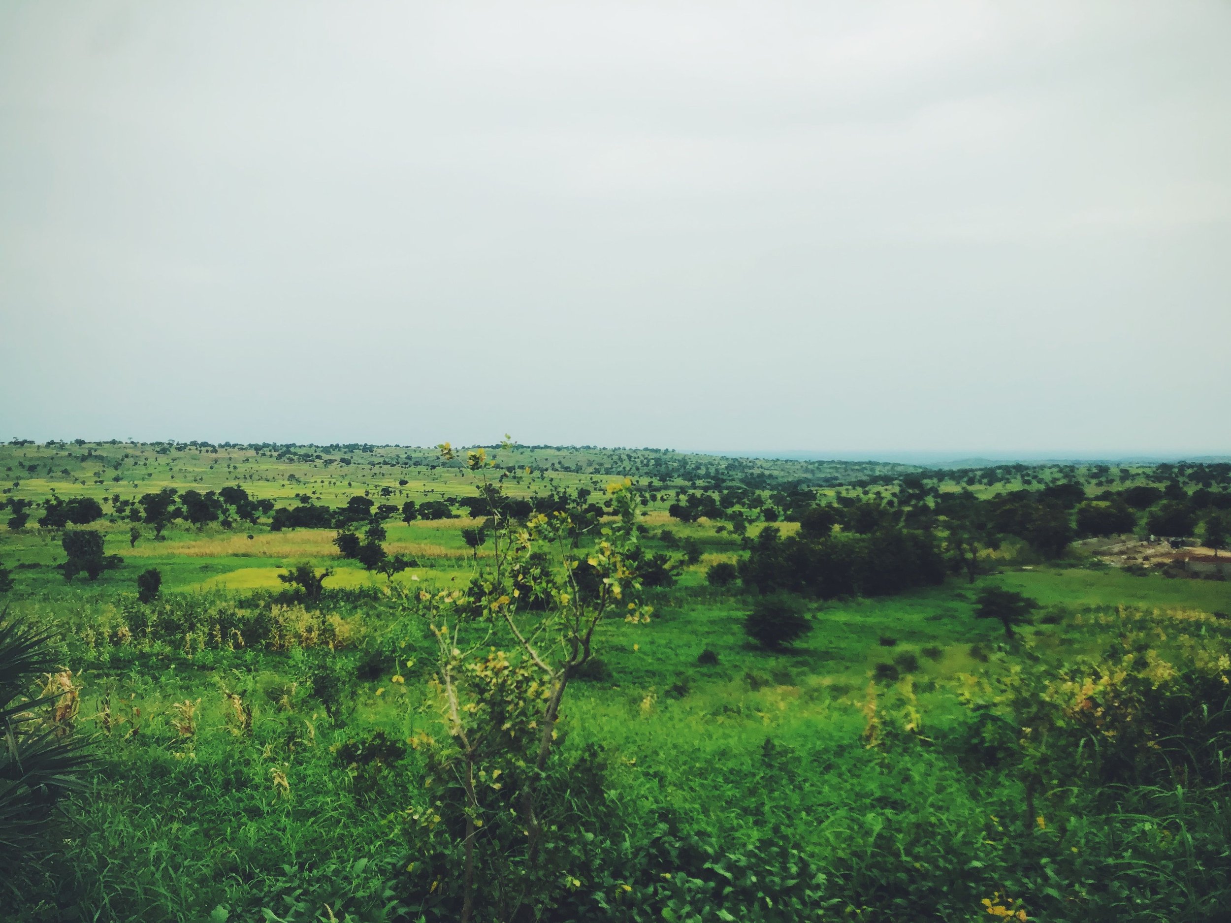 A wide view of a green landscape with fields and scattered trees under an overcast sky.