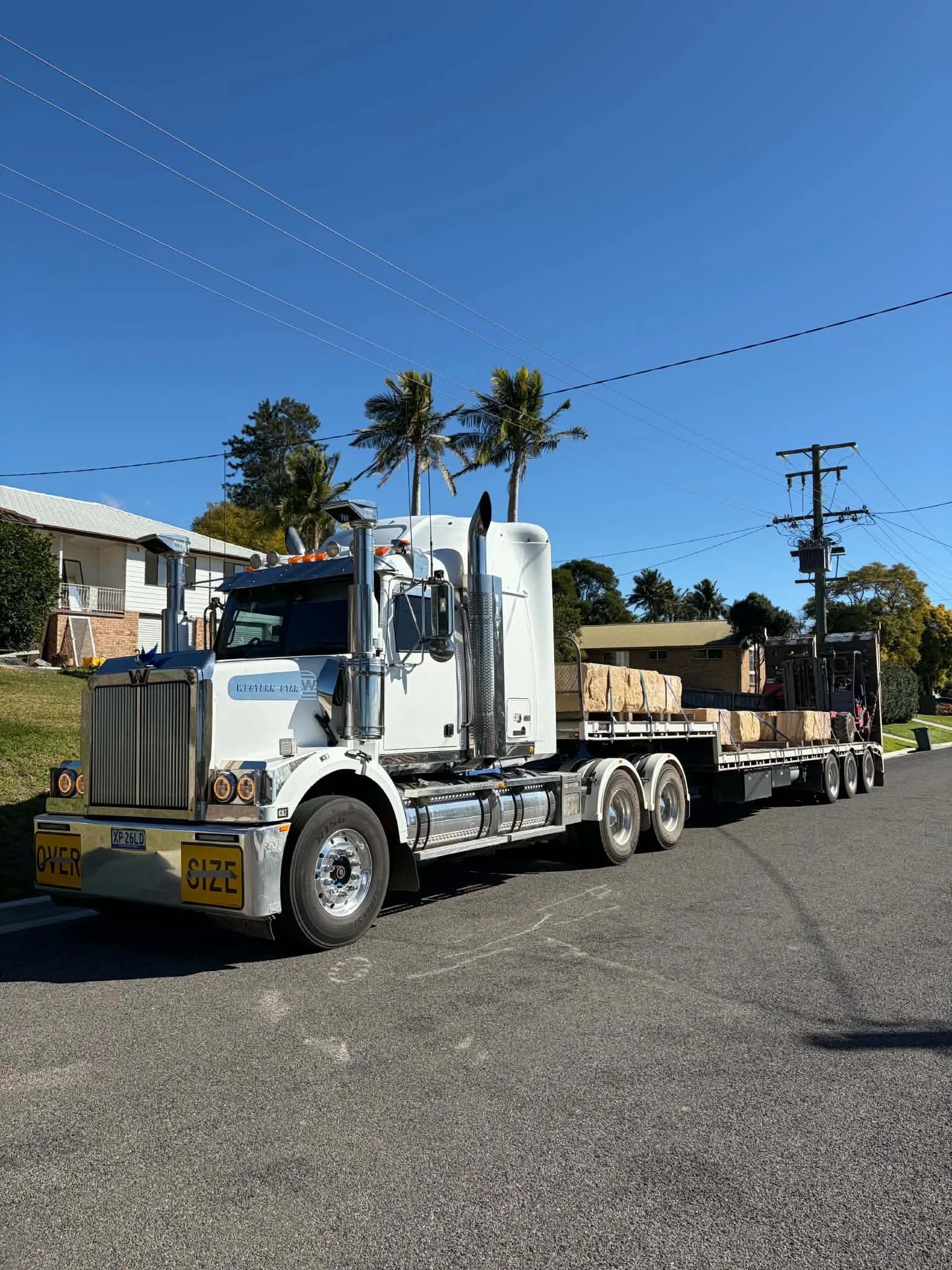 A large white semi-truck with a flatbed trailer carrying large rocks parked on a paved street. The background features residential houses, tall palm trees, and utility poles against a clear blue sky.