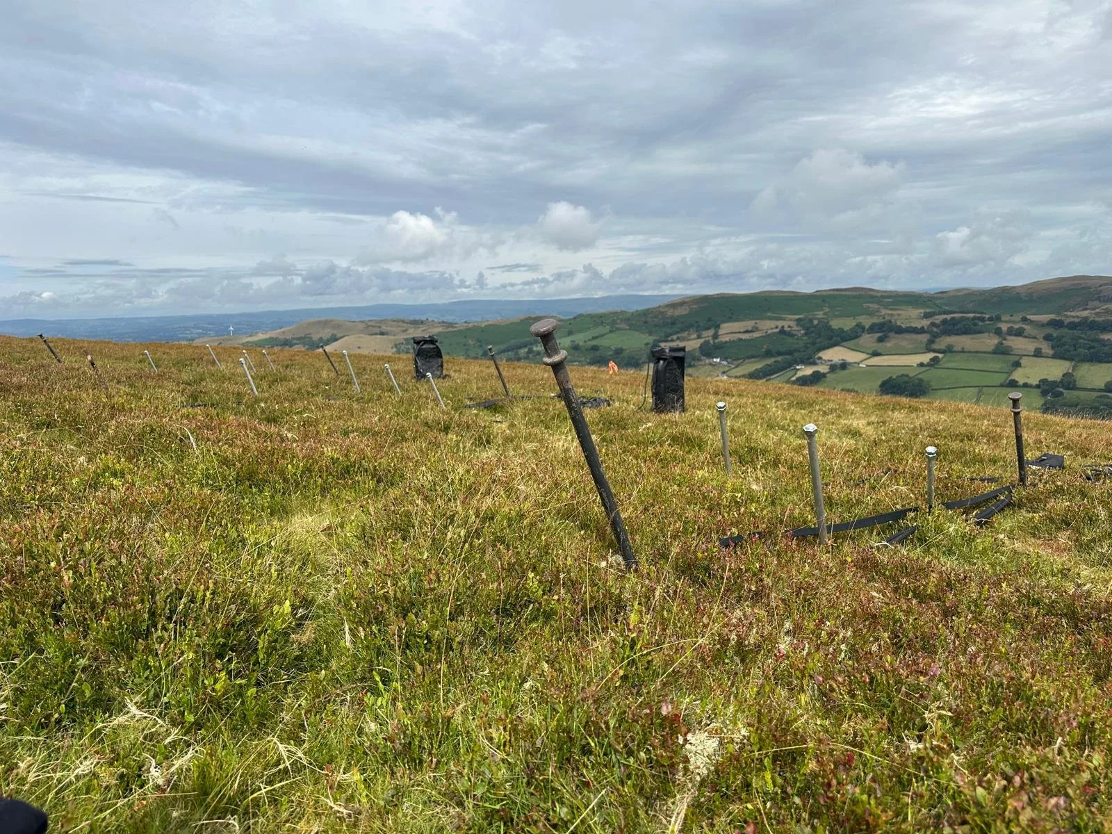 Open hillside field with stakes set out in the grass