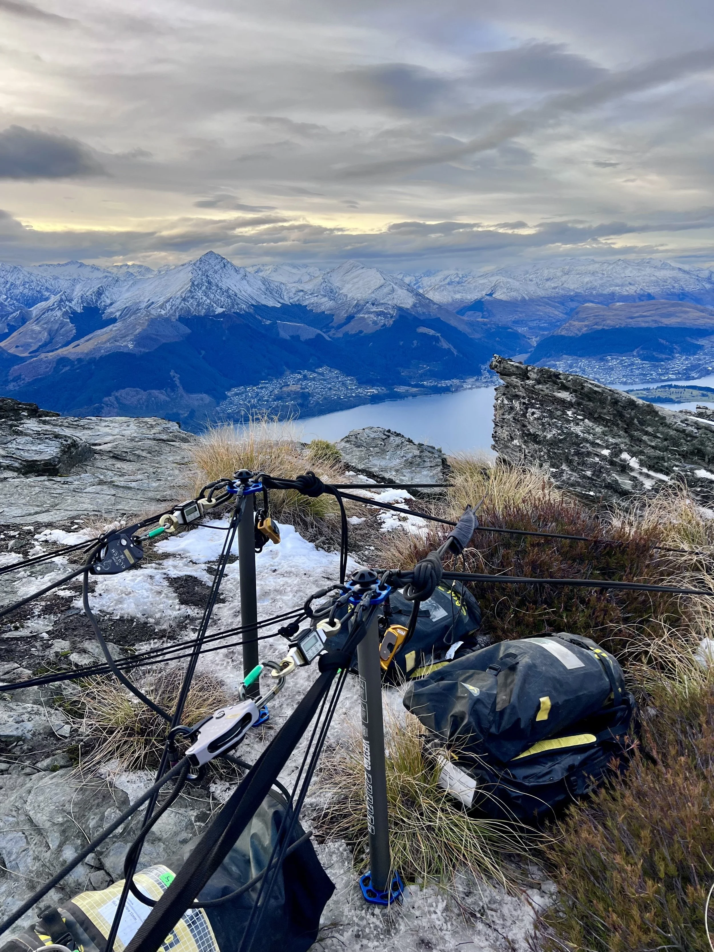 New Zealand Specialst .jpg